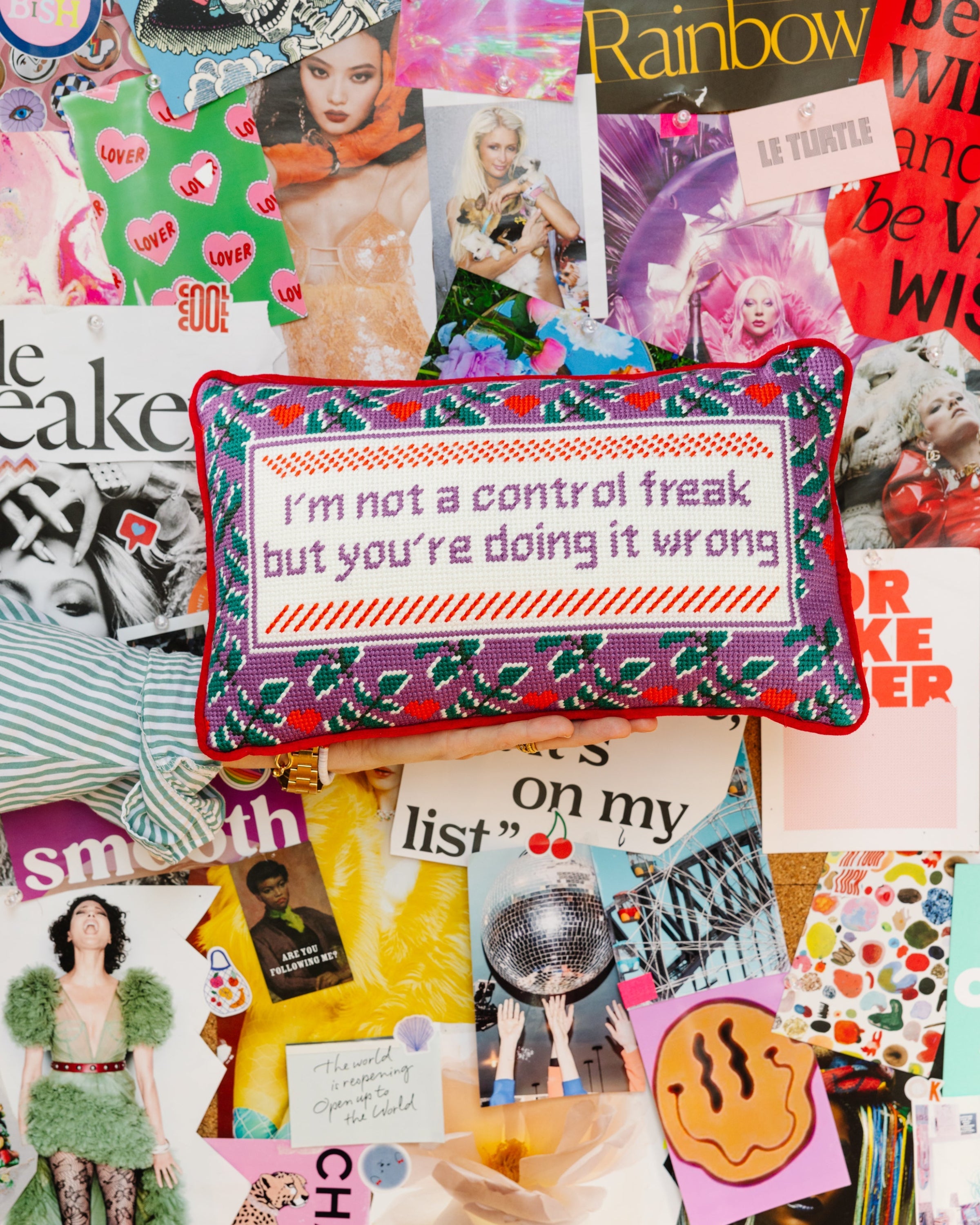 "Control Freak" Needlepoint Pillow