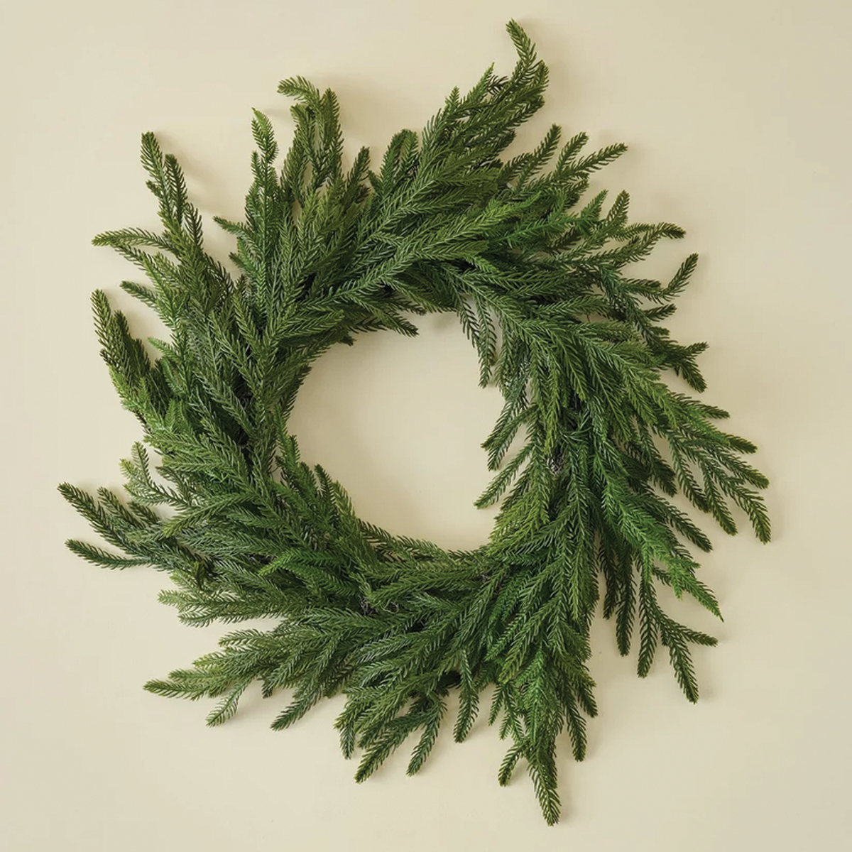 24"D Norfolk Pine Wreath Soft Touch
