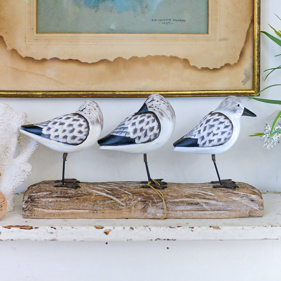 3 Sea Birds on Driftwood Wood Base