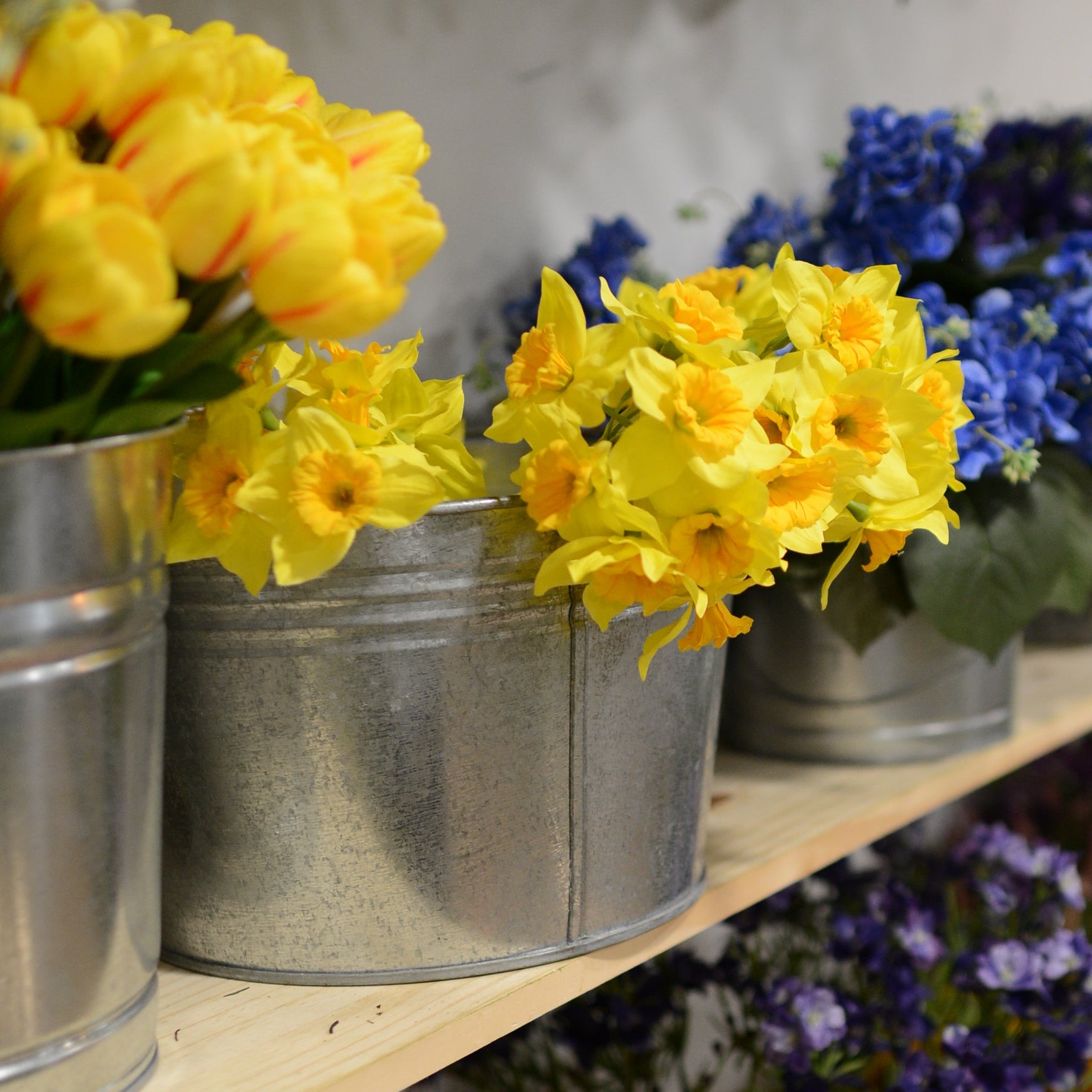 Yellow Field Daffodil Bundle