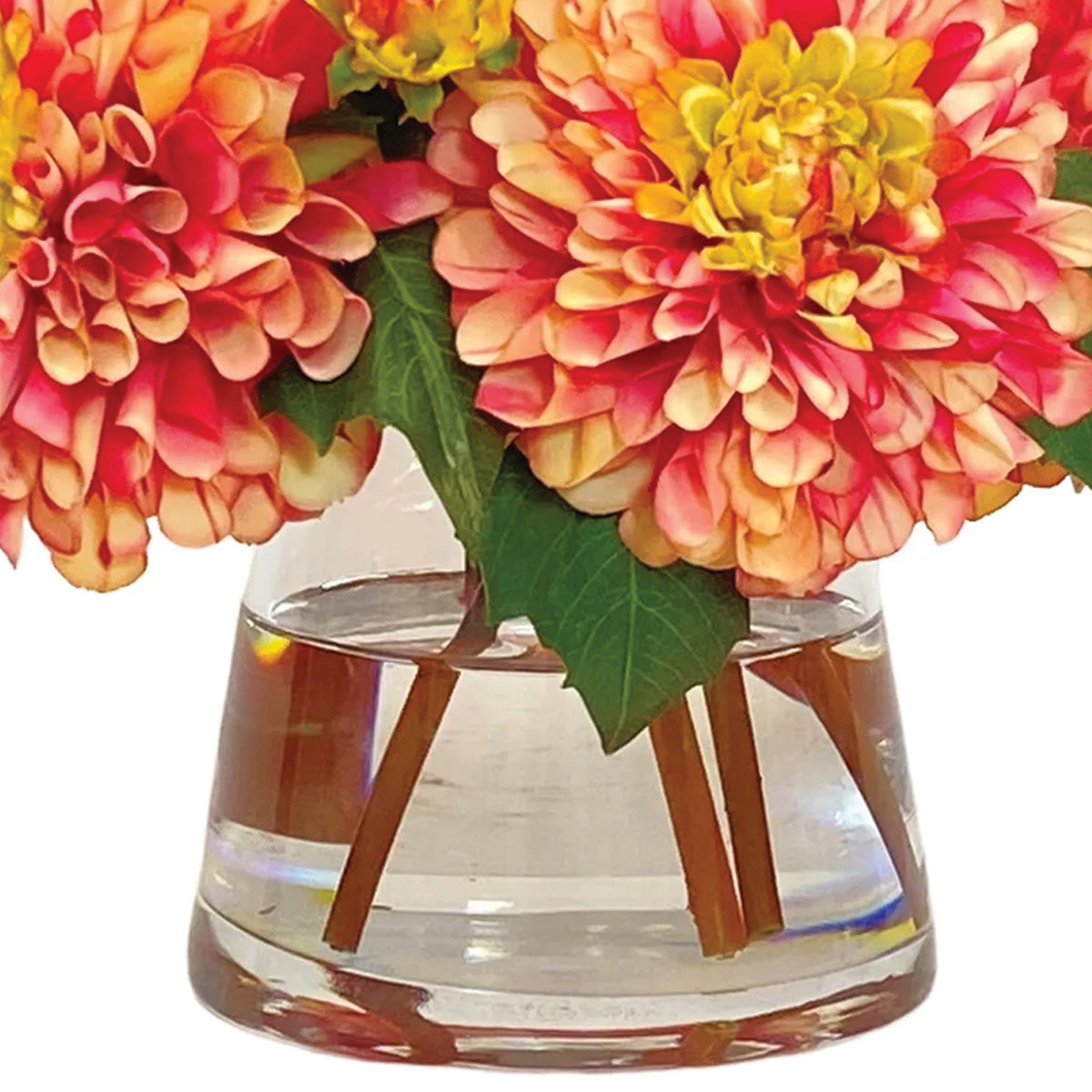 Dahlias in Glass Vase