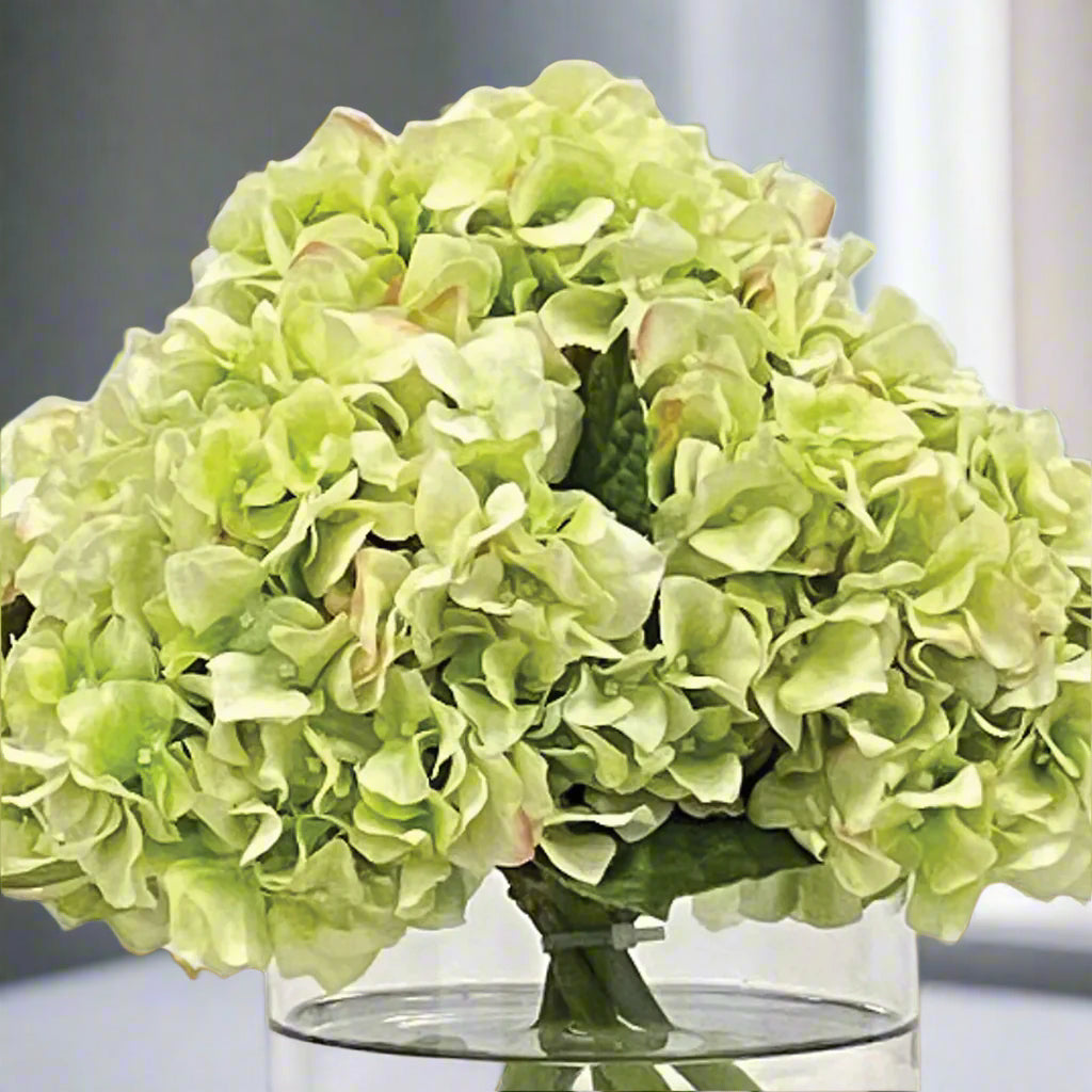 Green Hydrangea in Vase