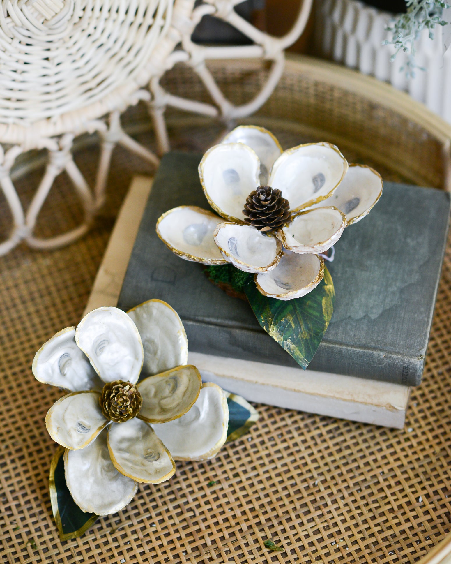 White Oyster Shell Magnolia Flower in Gift Box White