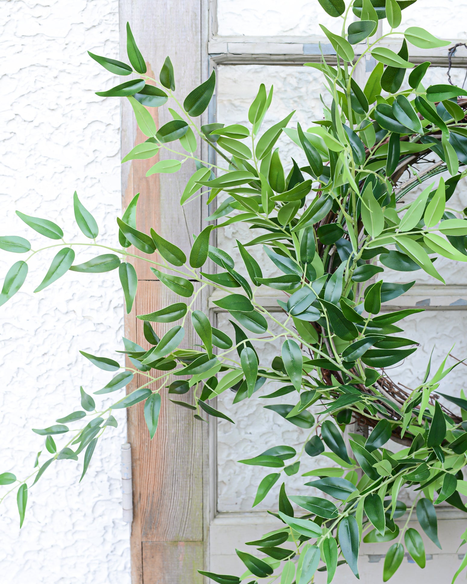 Italian Ruscus Wreath