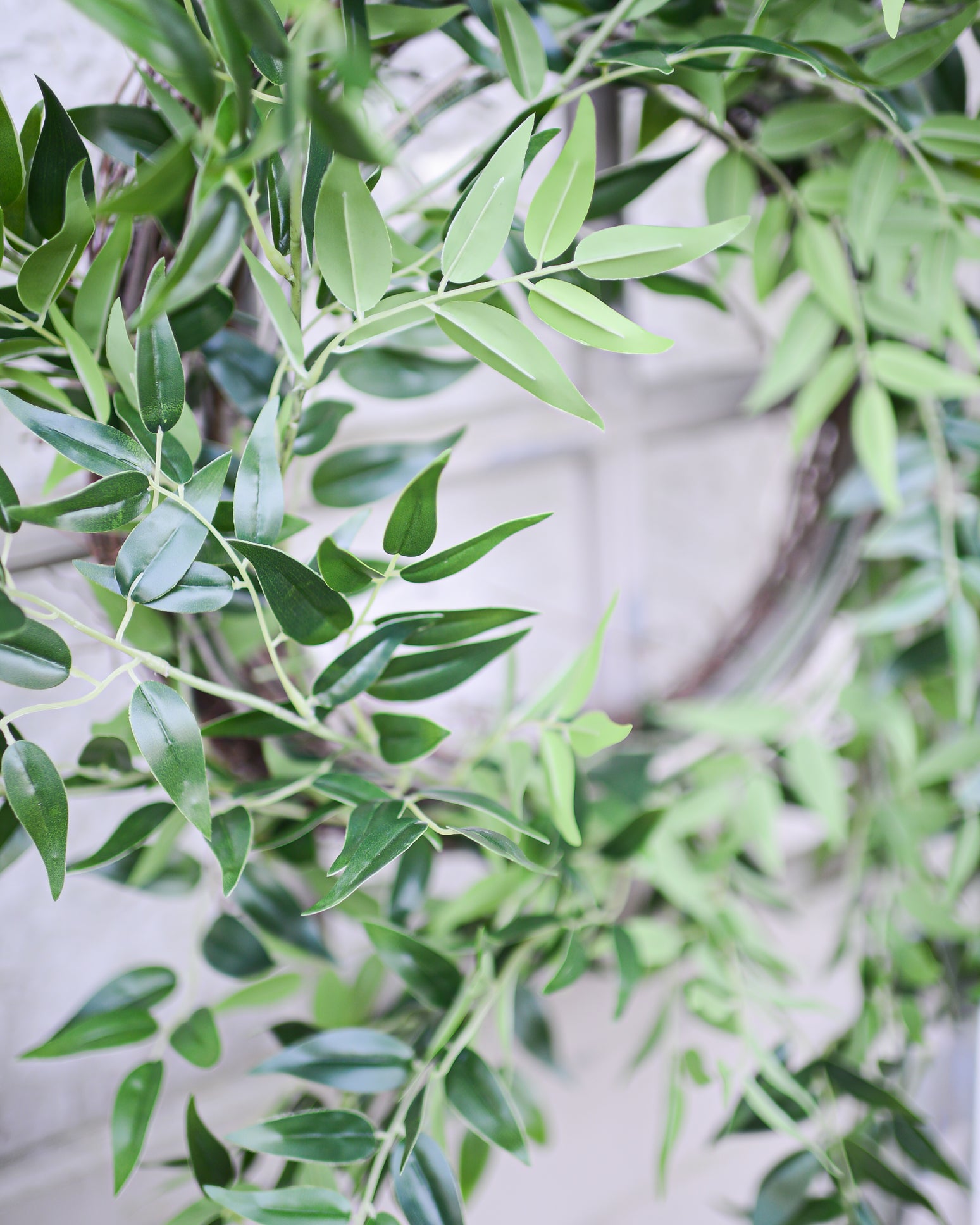 Italian Ruscus Wreath