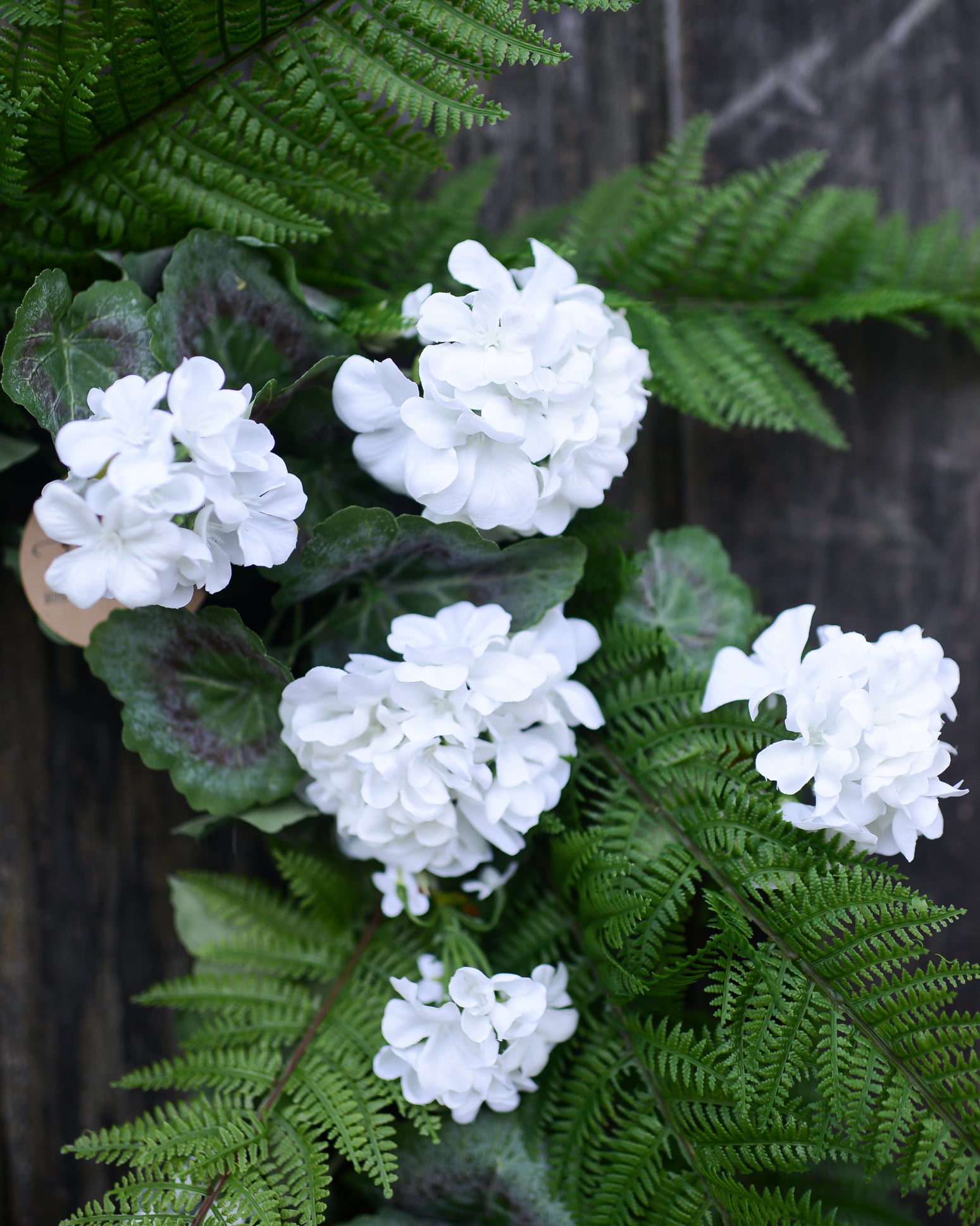 White Geranium and Fern Wreath