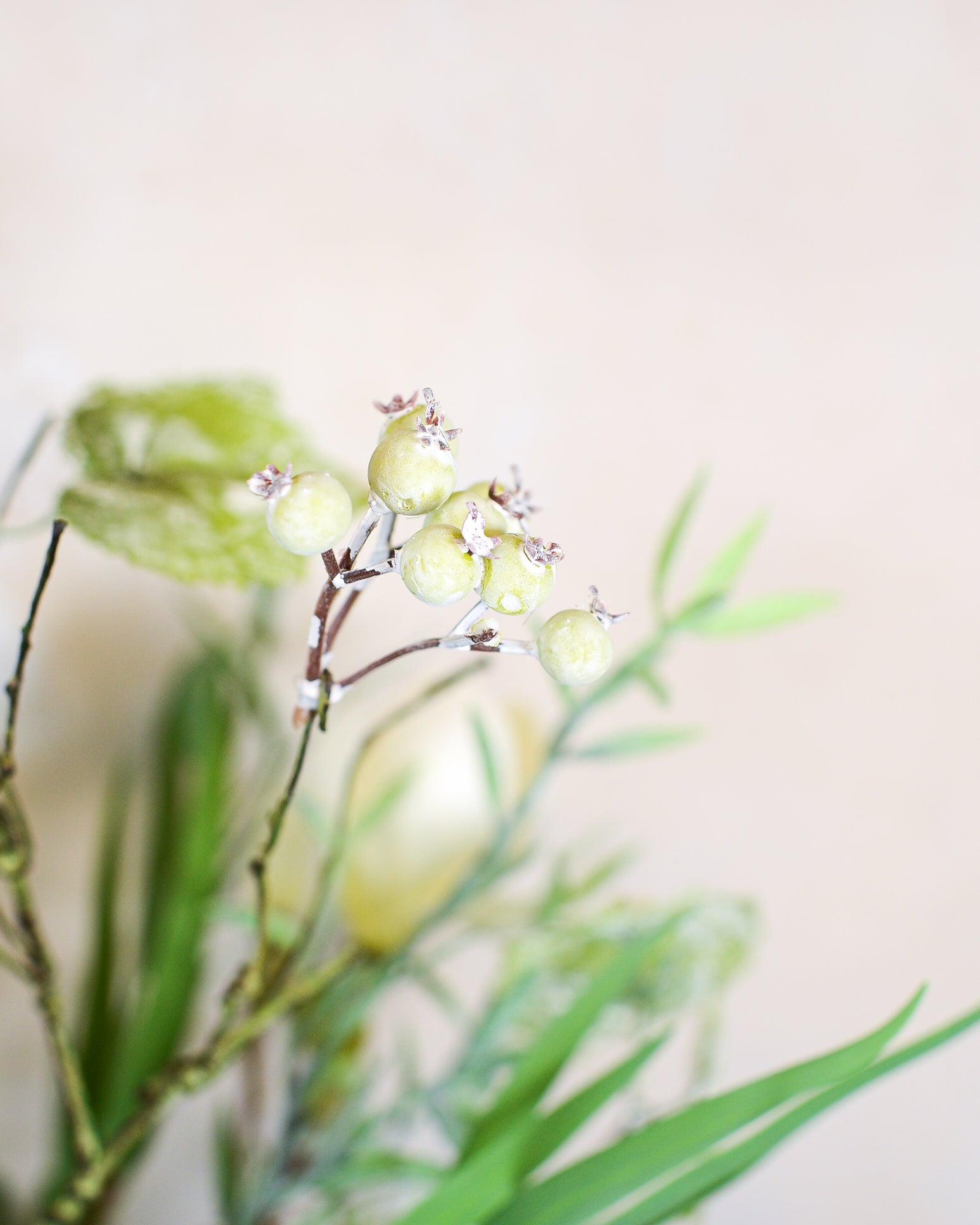 Saucer Magnolia Jug Bouquet Drop In