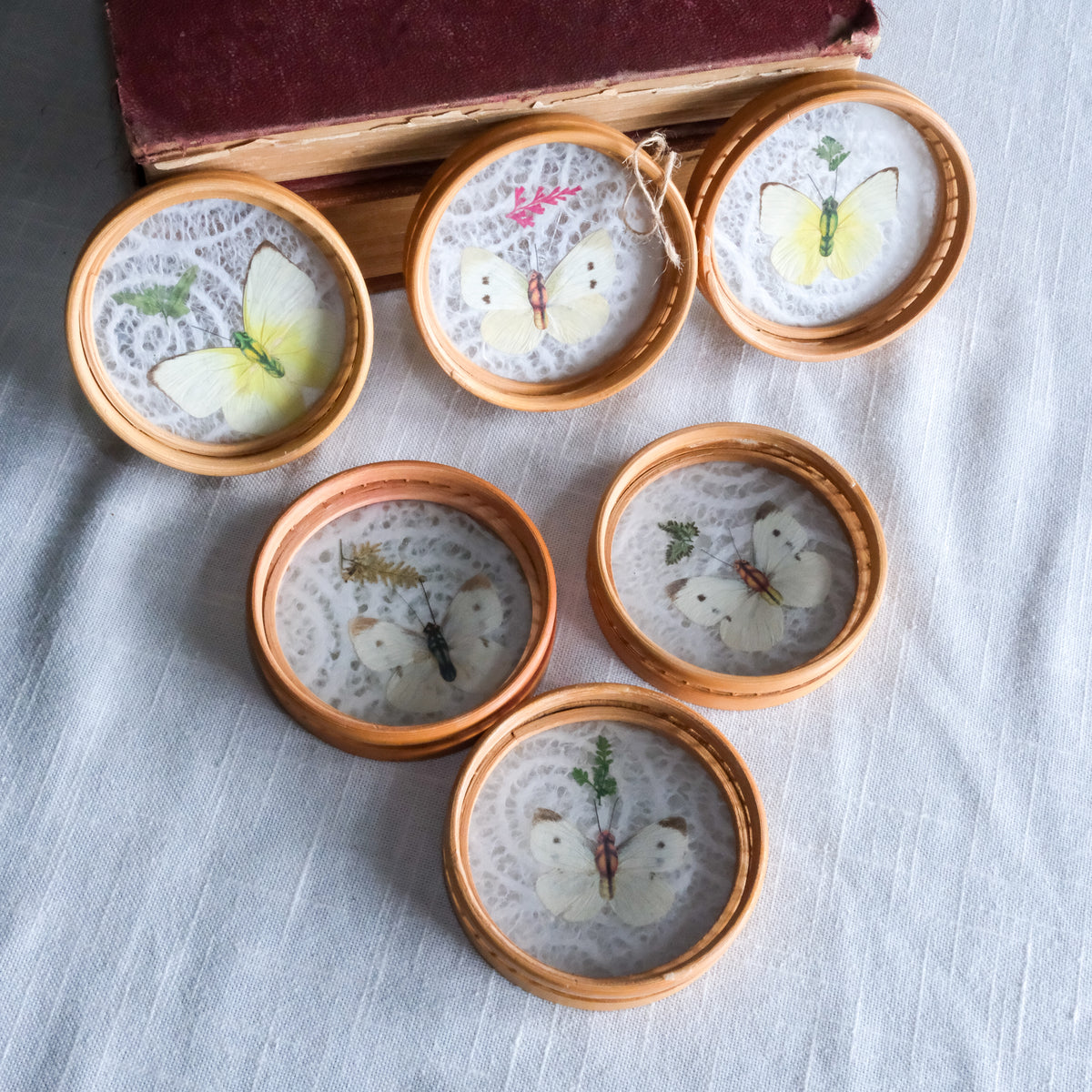Vintage Pressed Butterfly Lace Wooden Coasters Bamboo Wicker Set of 6