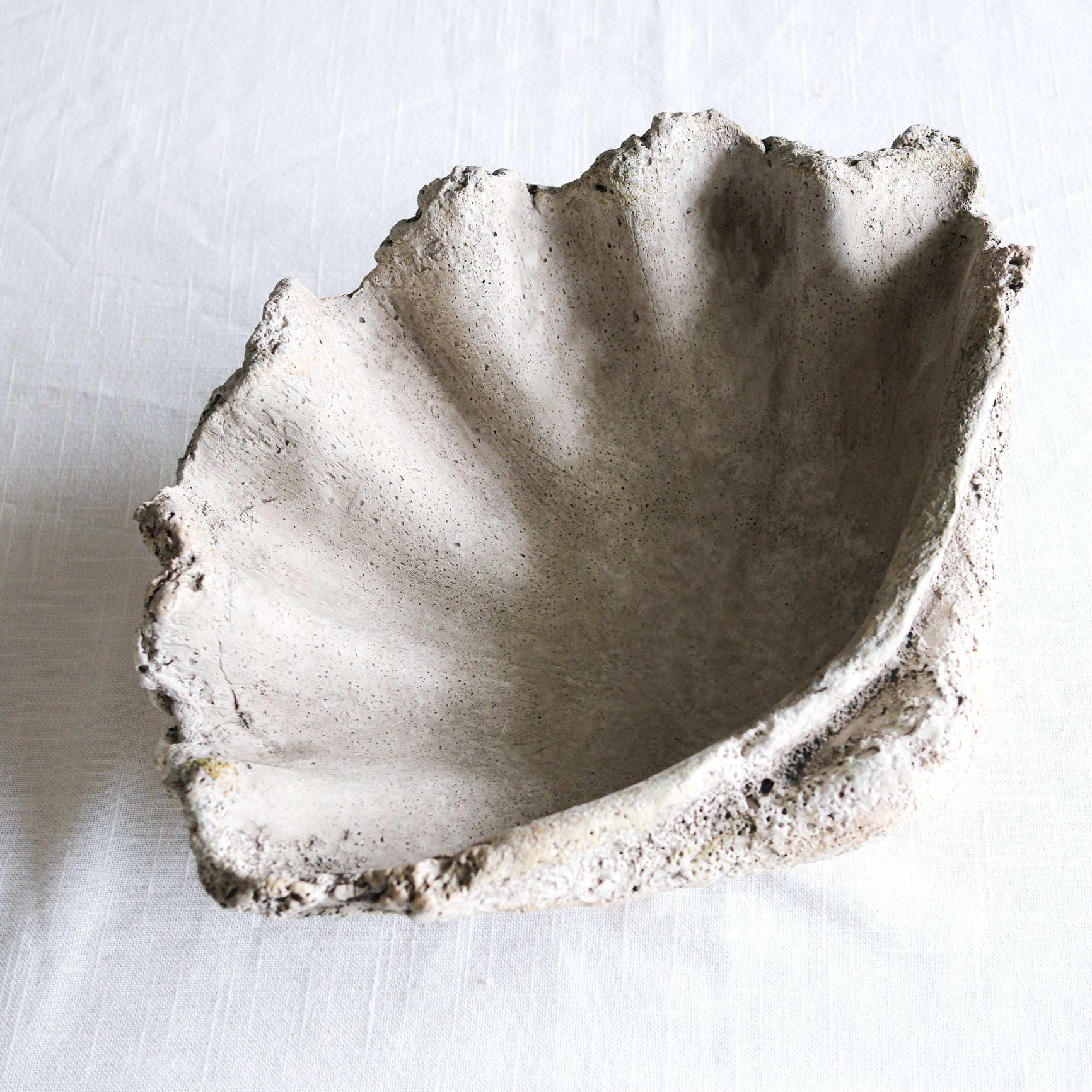 Stone Grey Clamshell Planter