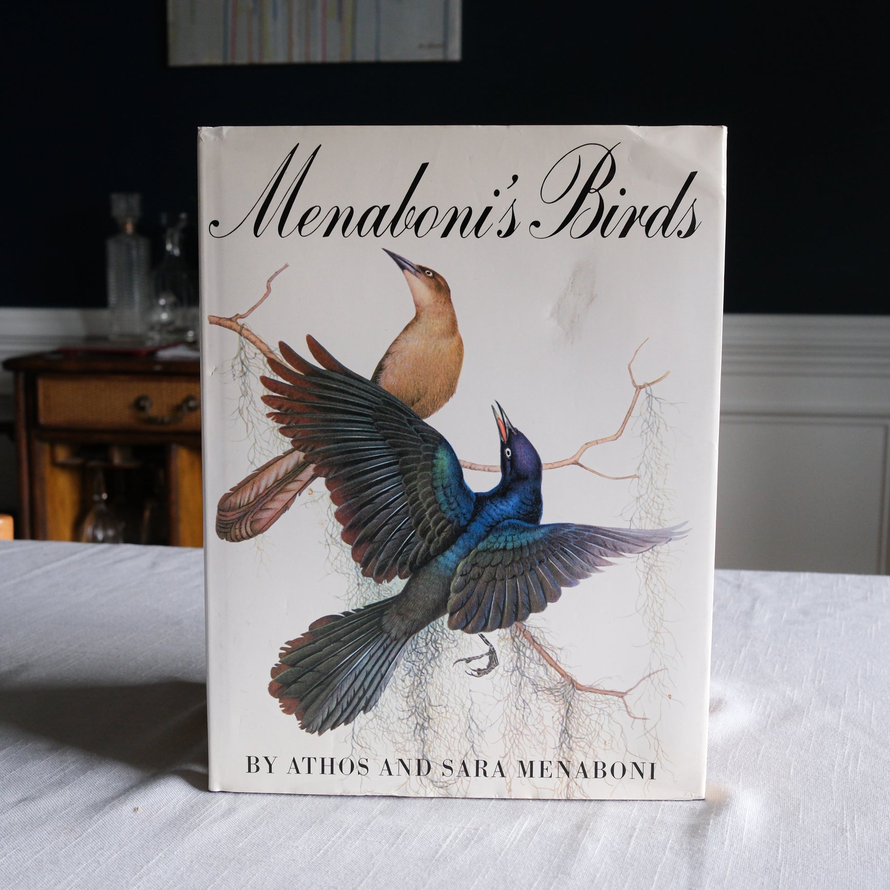Vintage Menboni's Birds Coffee Table Book (Revised Edition 1984)