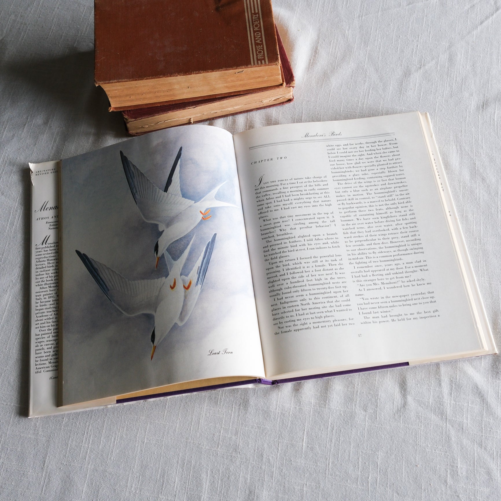Vintage Menboni's Birds Coffee Table Book (Revised Edition 1984)