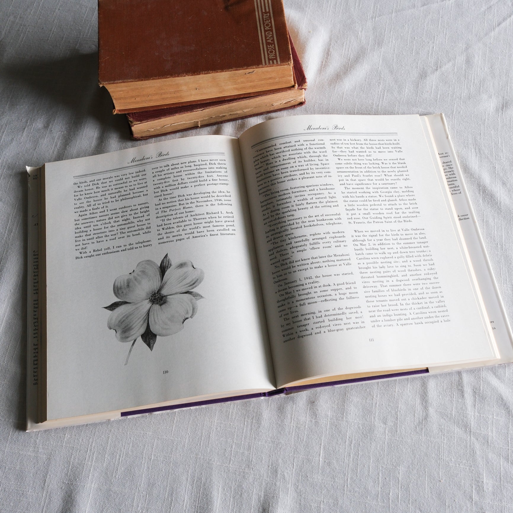 Vintage Menboni's Birds Coffee Table Book (Revised Edition 1984)