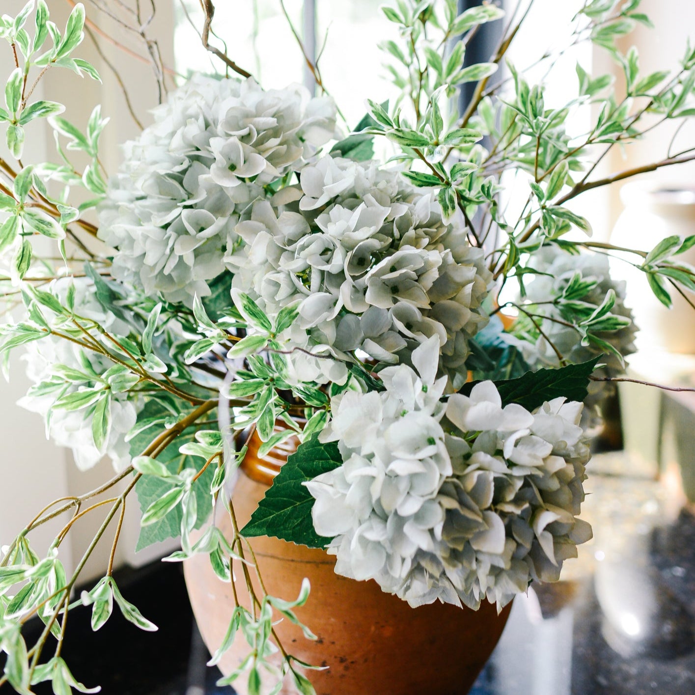 Blue-Gray Hydrangea Stem