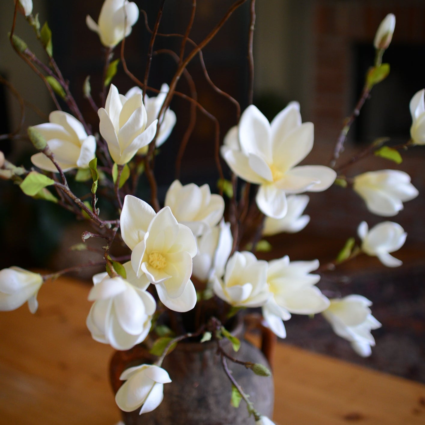 Saucer Magnolia Spray White