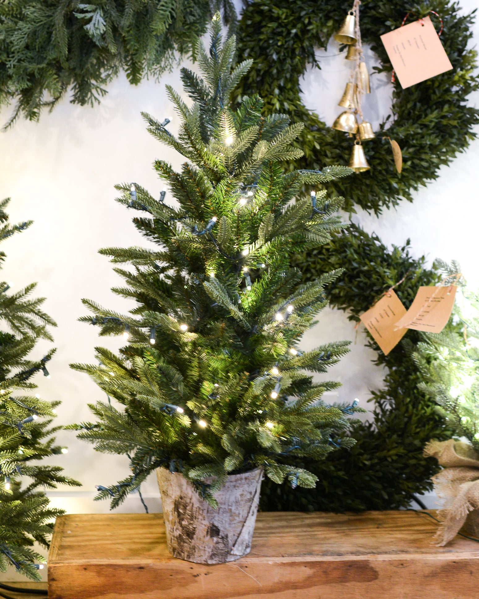 3 ft. Fraser Fir Tree Pre-Lit