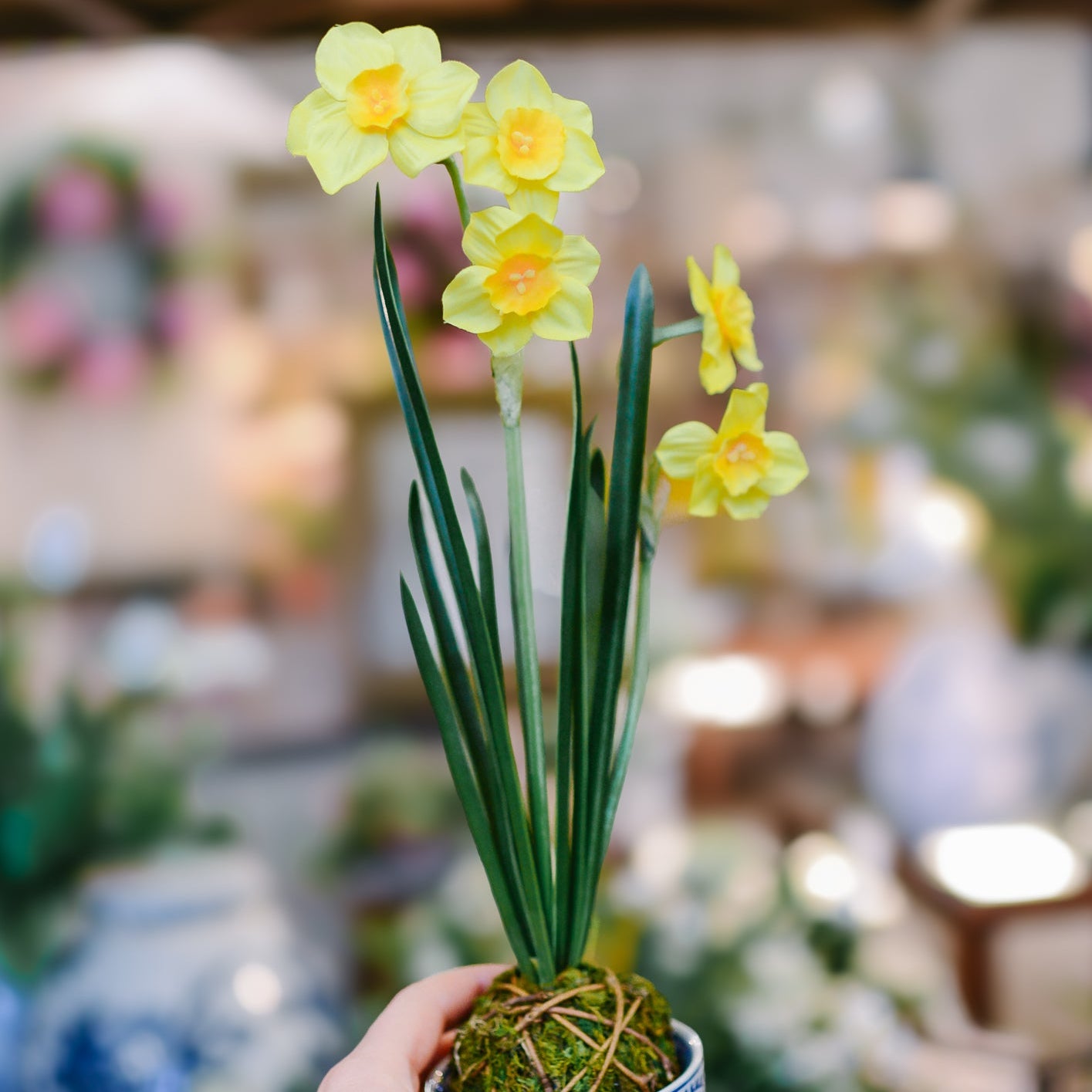 Yellow Paperwhite Daffodil Moss Ball Drop In