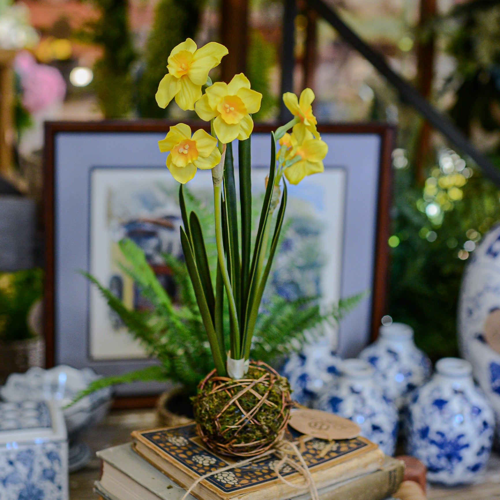 Yellow Paperwhite Daffodil Moss Ball Drop In