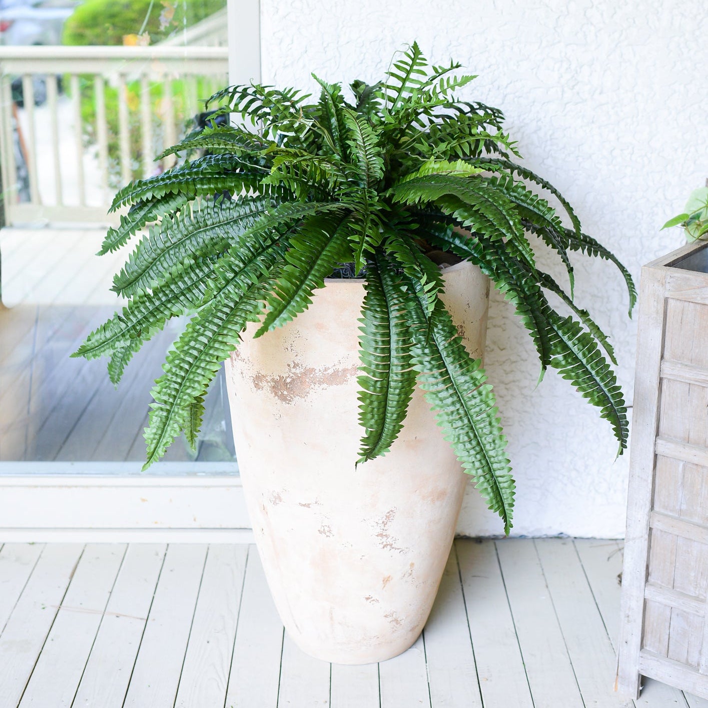 Large green fern plant in a white pot on a wooden deck Hilton Head Island, South Carolina. Bluffton, Ridgeland, Hardeeville.