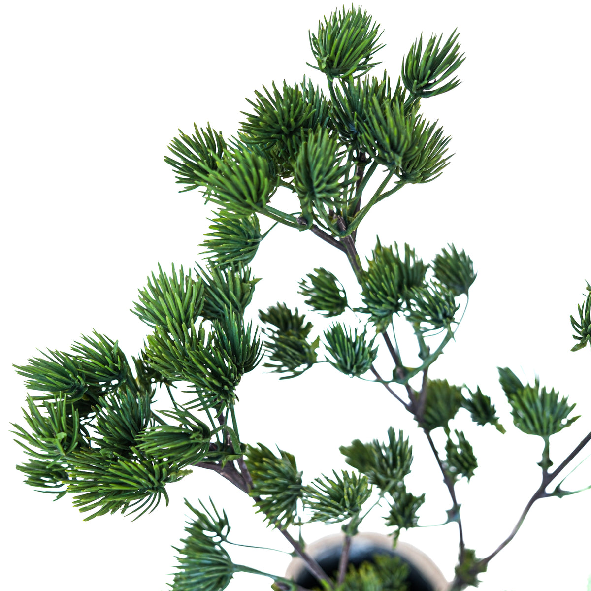 UV Ming Pine Green Spray