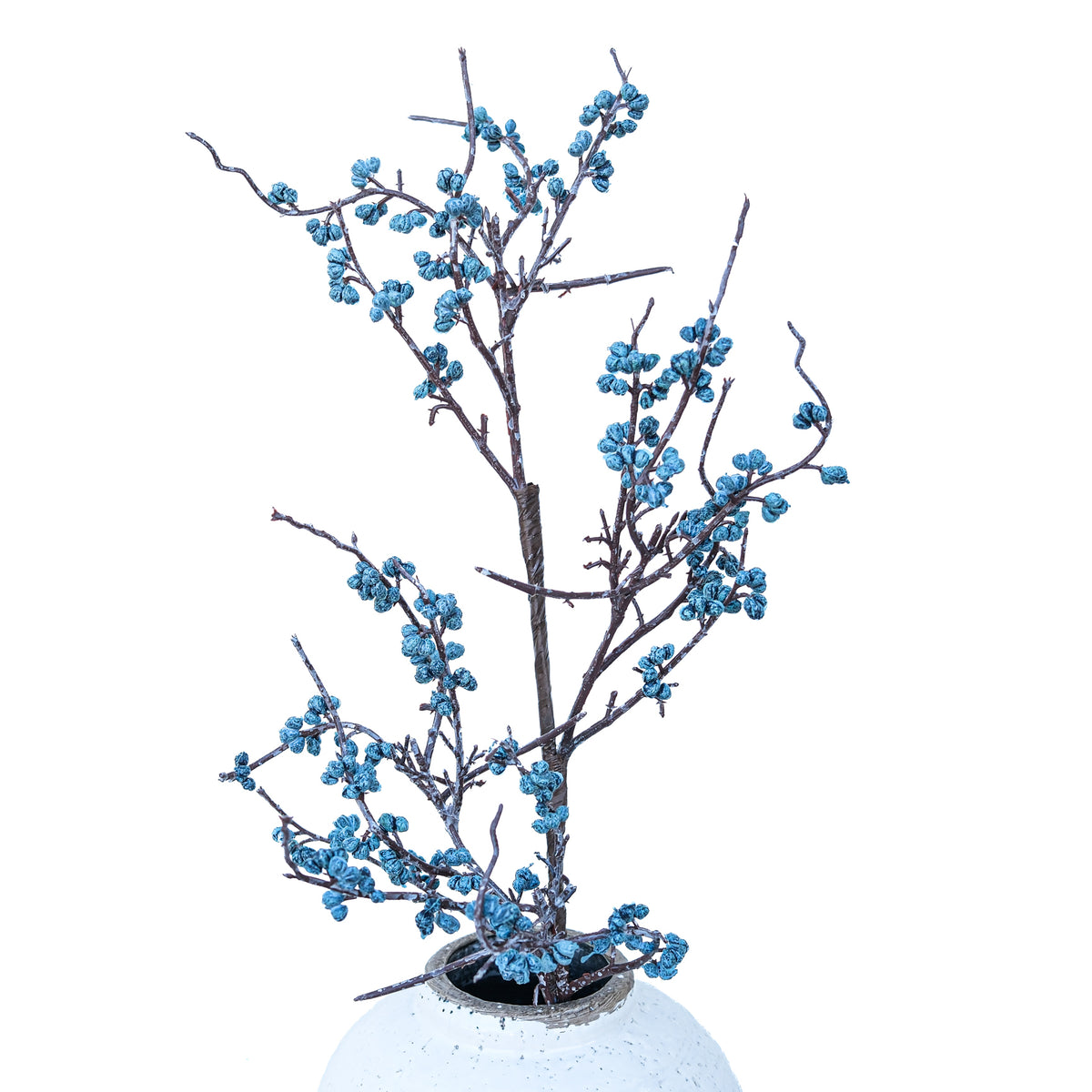Thicket Blueberry Spray