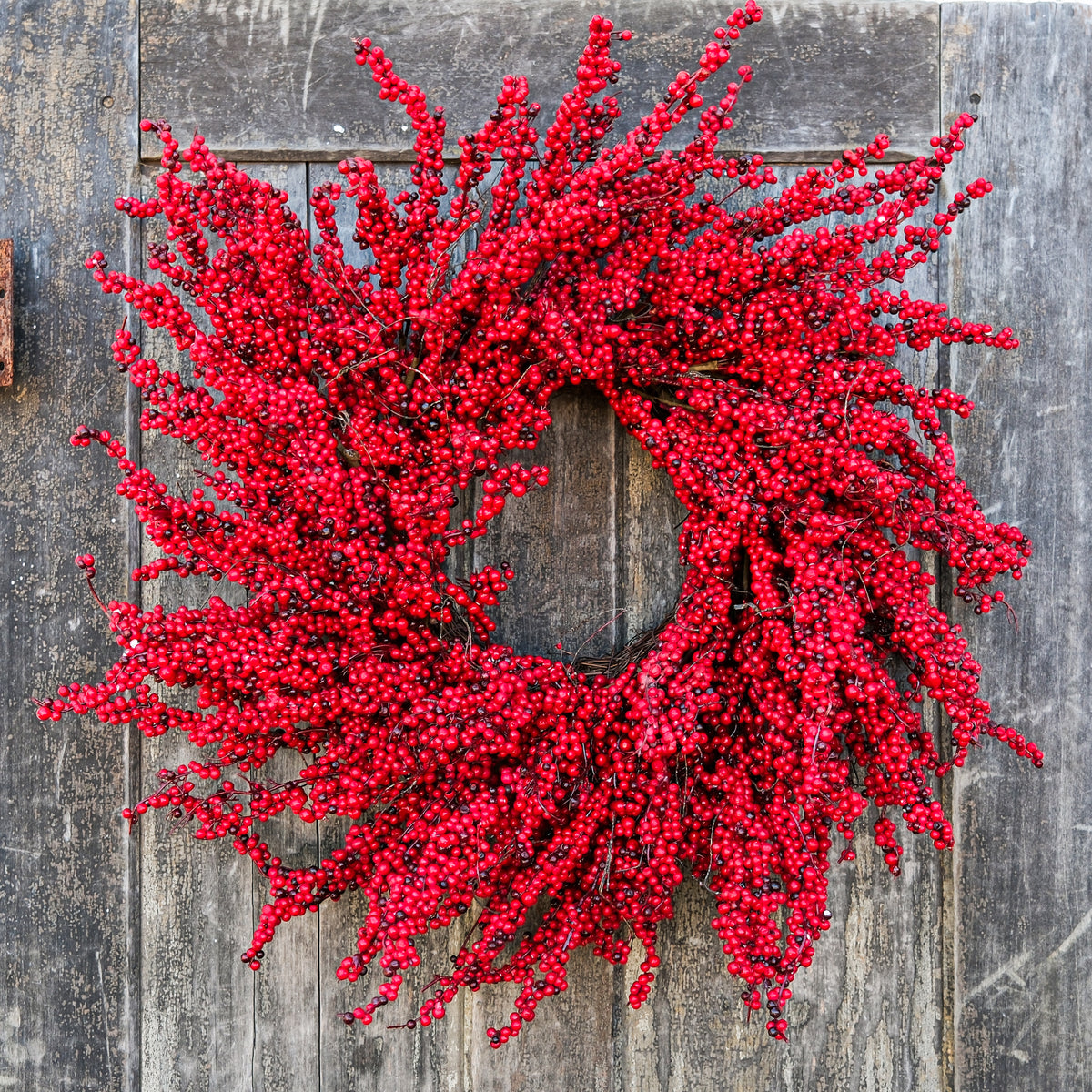 28"D Red Thimble Berry Wreath