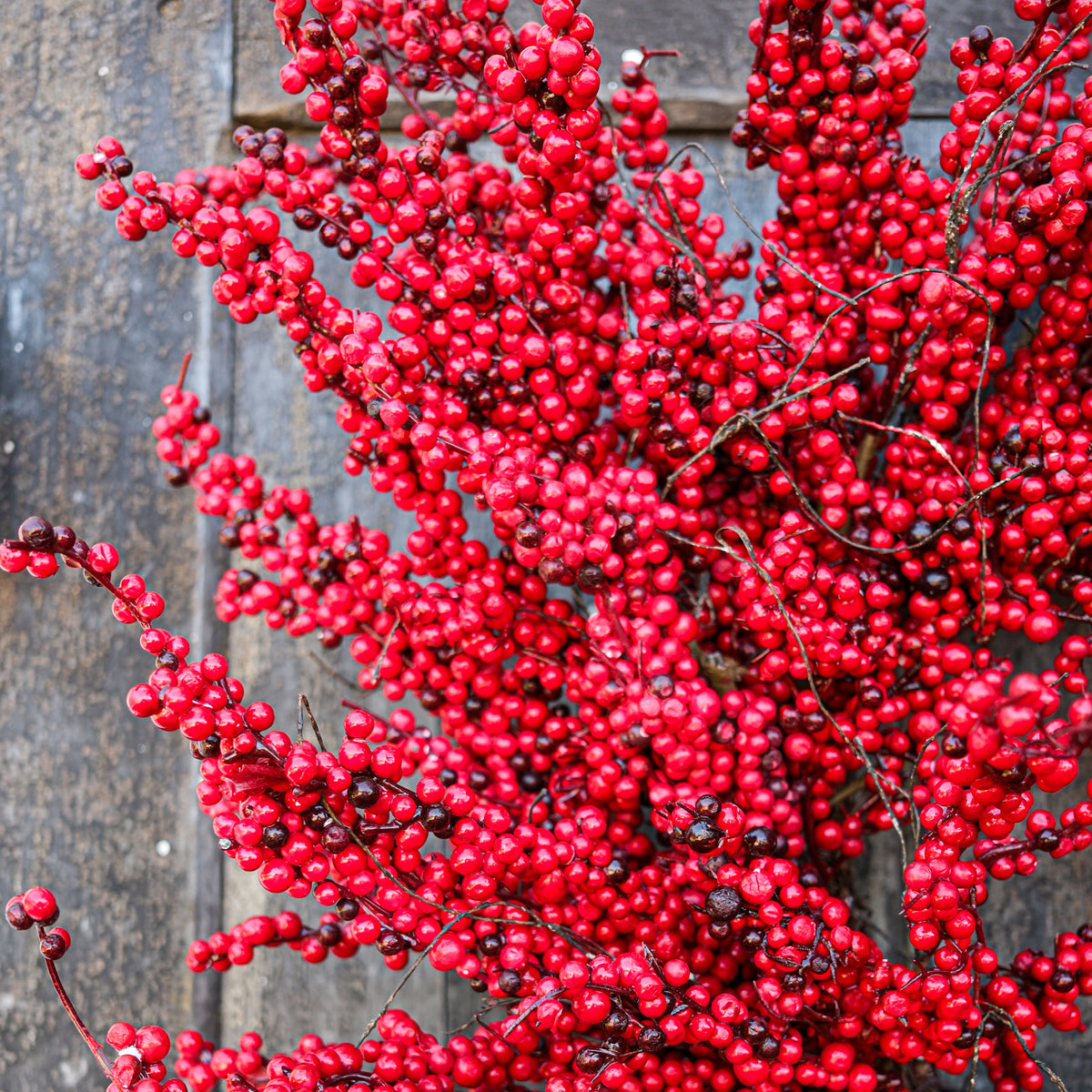28"D Red Thimble Berry Wreath