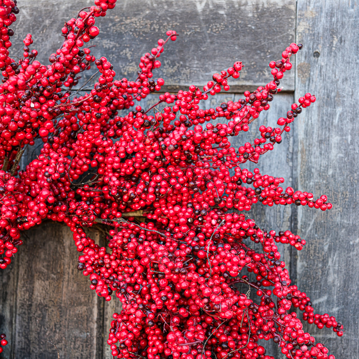 28"D Red Thimble Berry Wreath