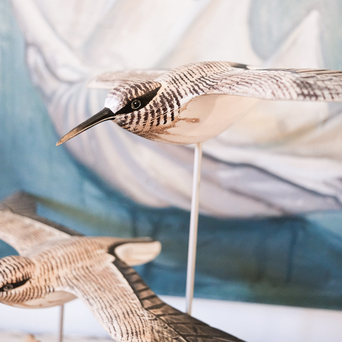 Gliding Sandpipers on Driftwood