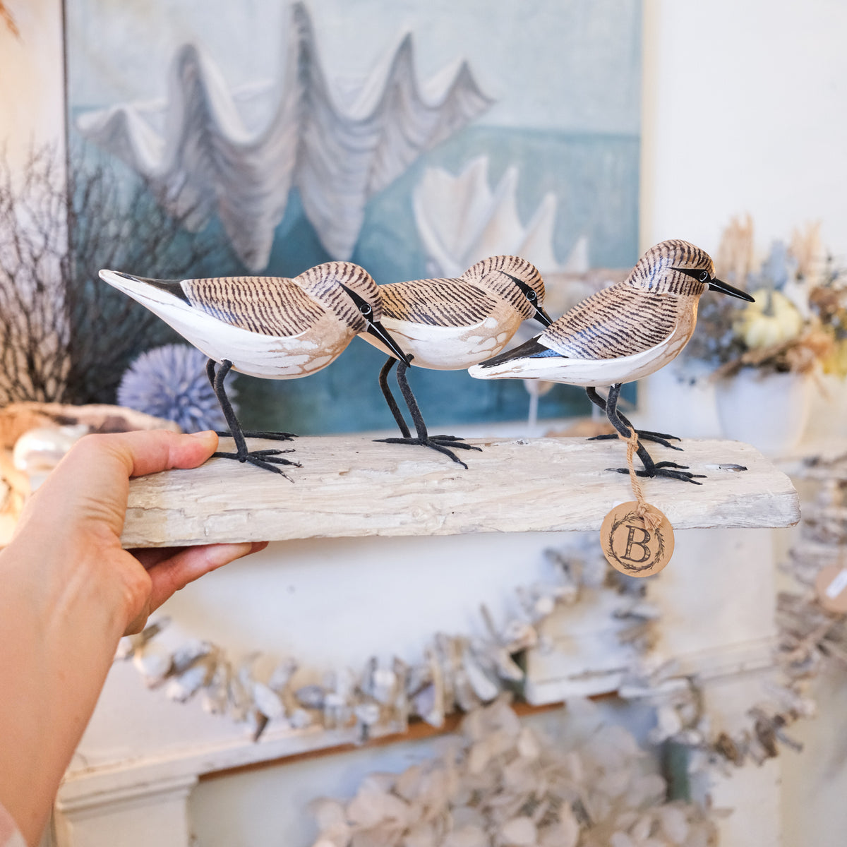 Three Brown Sandpipers on Log