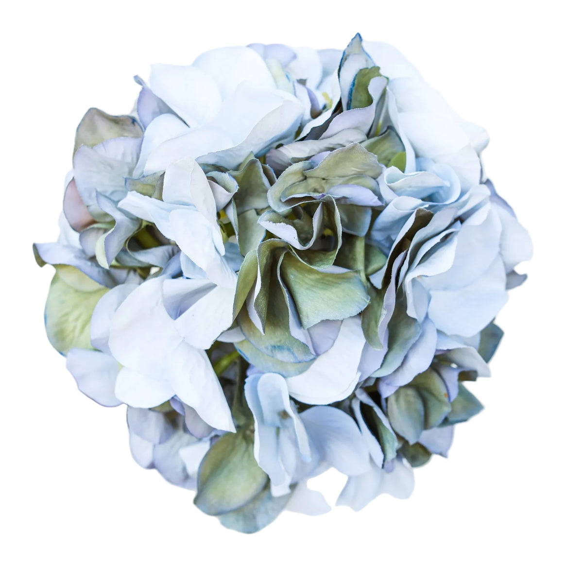 Sea Glass Hydrangea