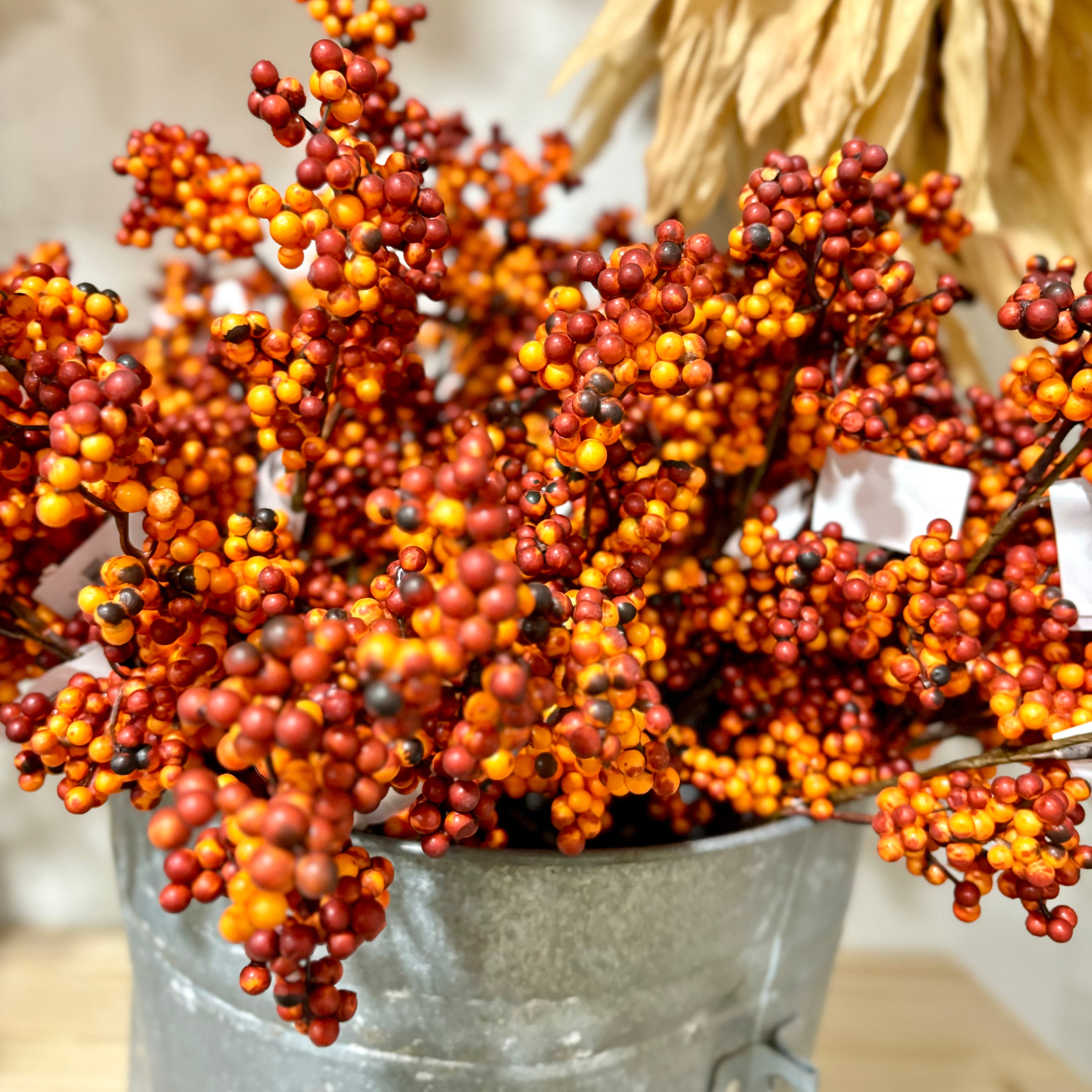 Berry Pick Rust Weather Resistant