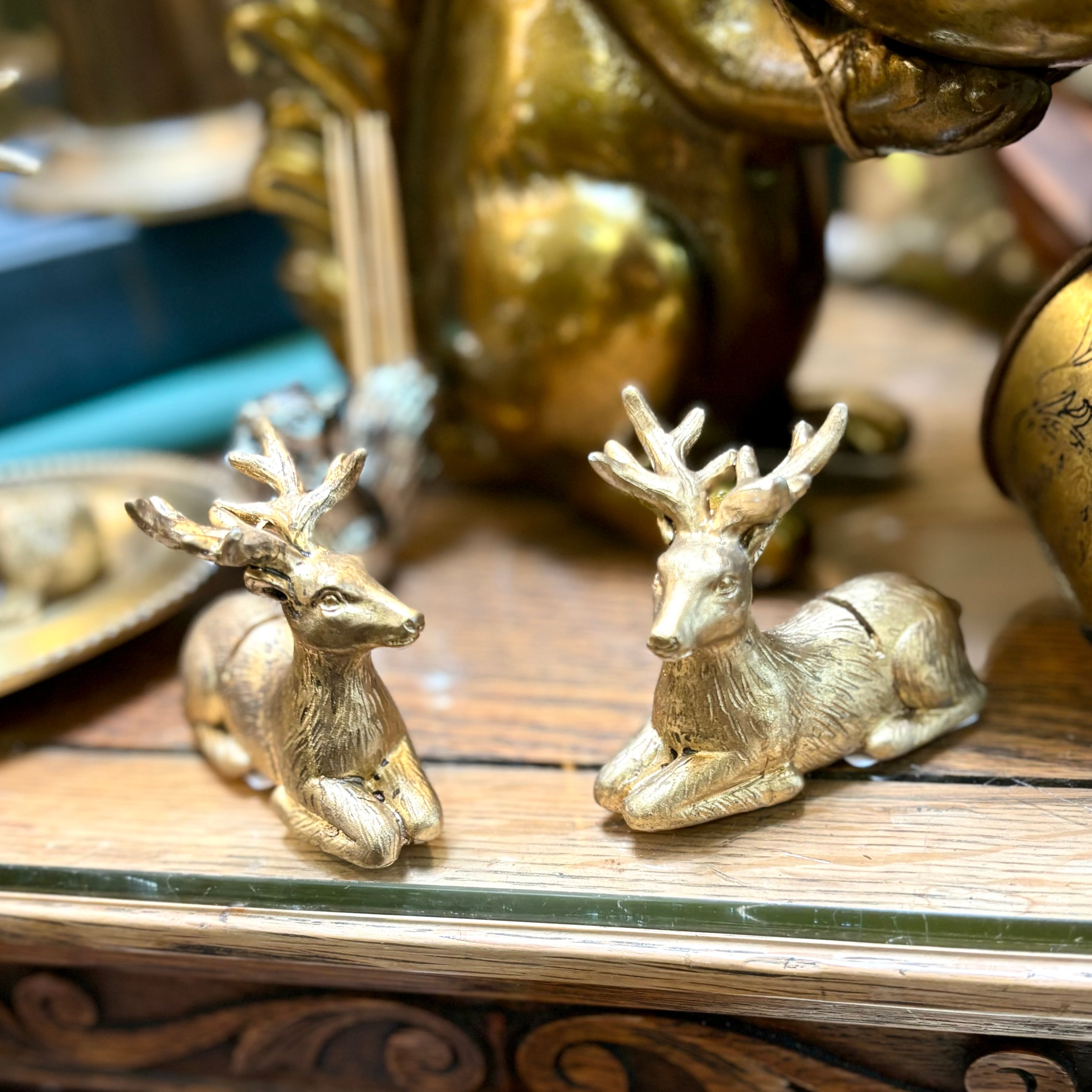 Enchanted Critter Name Card Holder