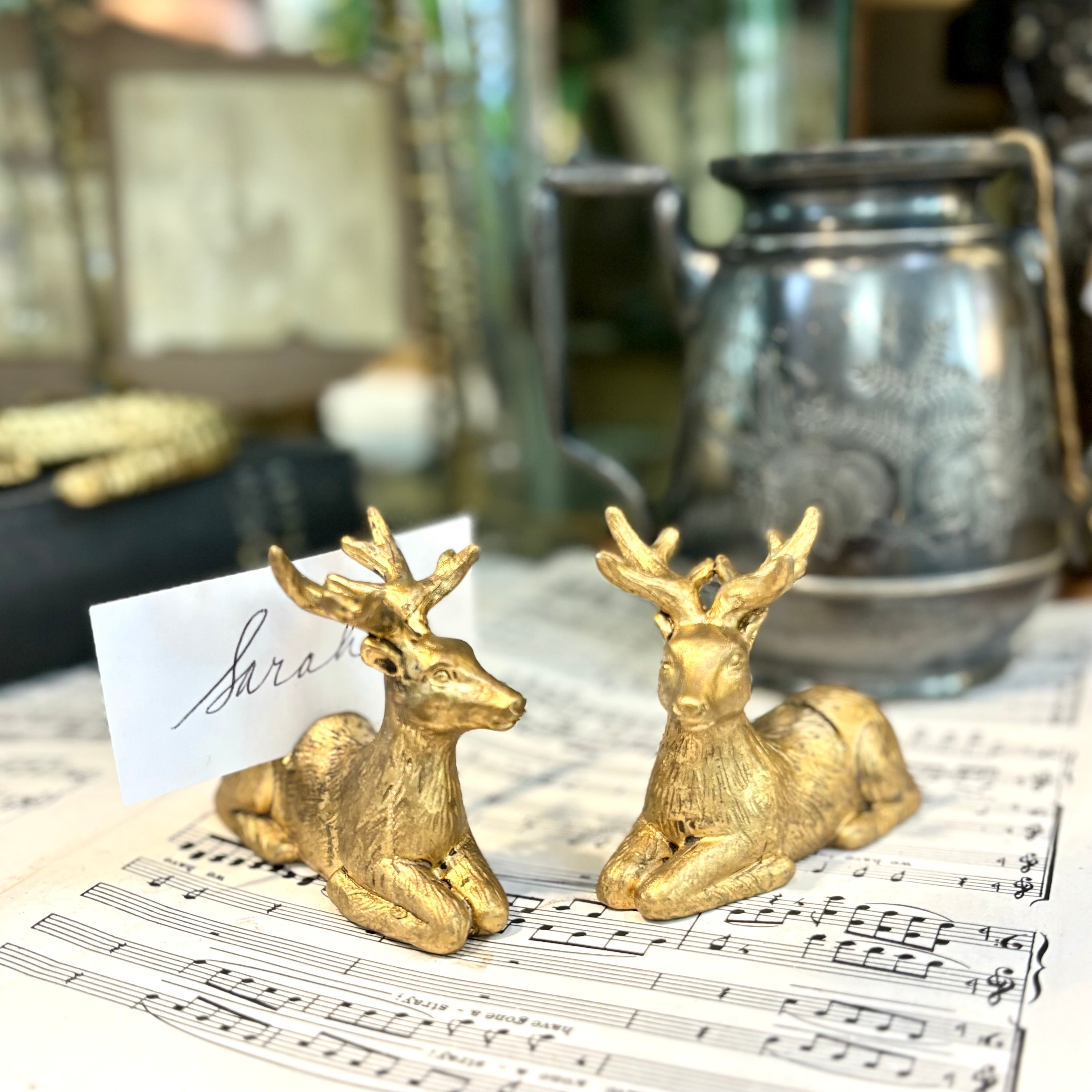 Enchanted Critter Name Card Holder
