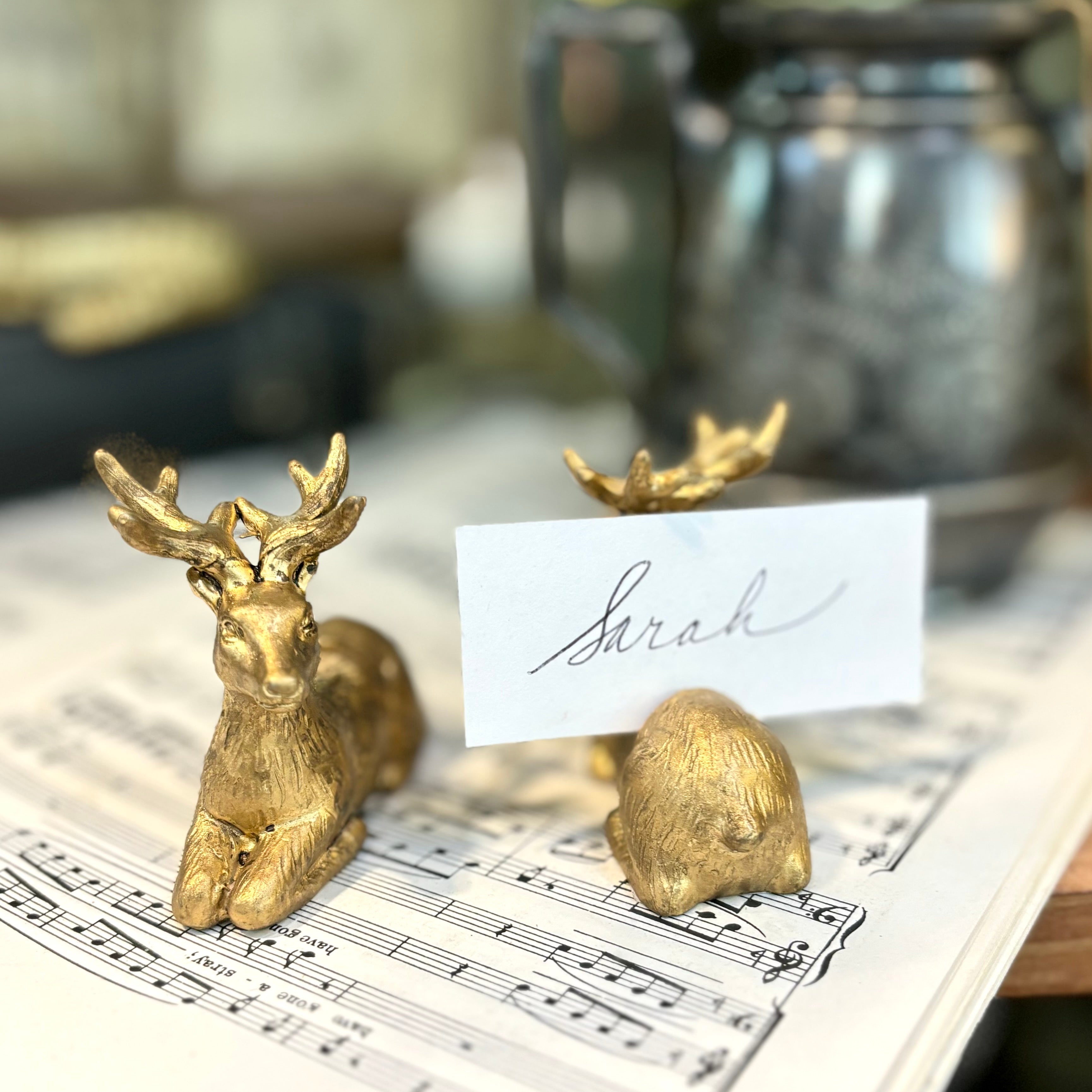 Enchanted Critter Name Card Holder