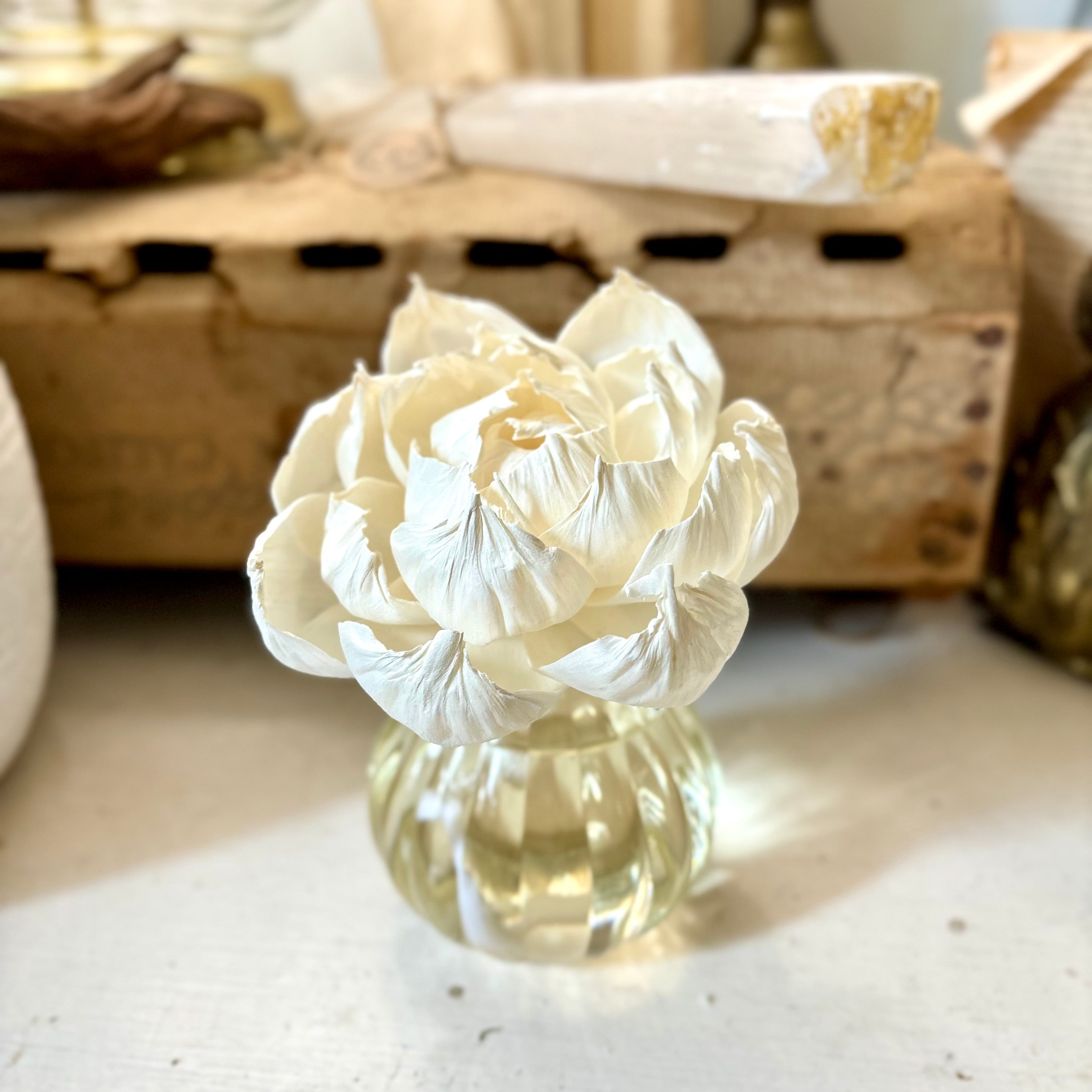 Silver Spruce Evergreen Woods Flower Diffuser