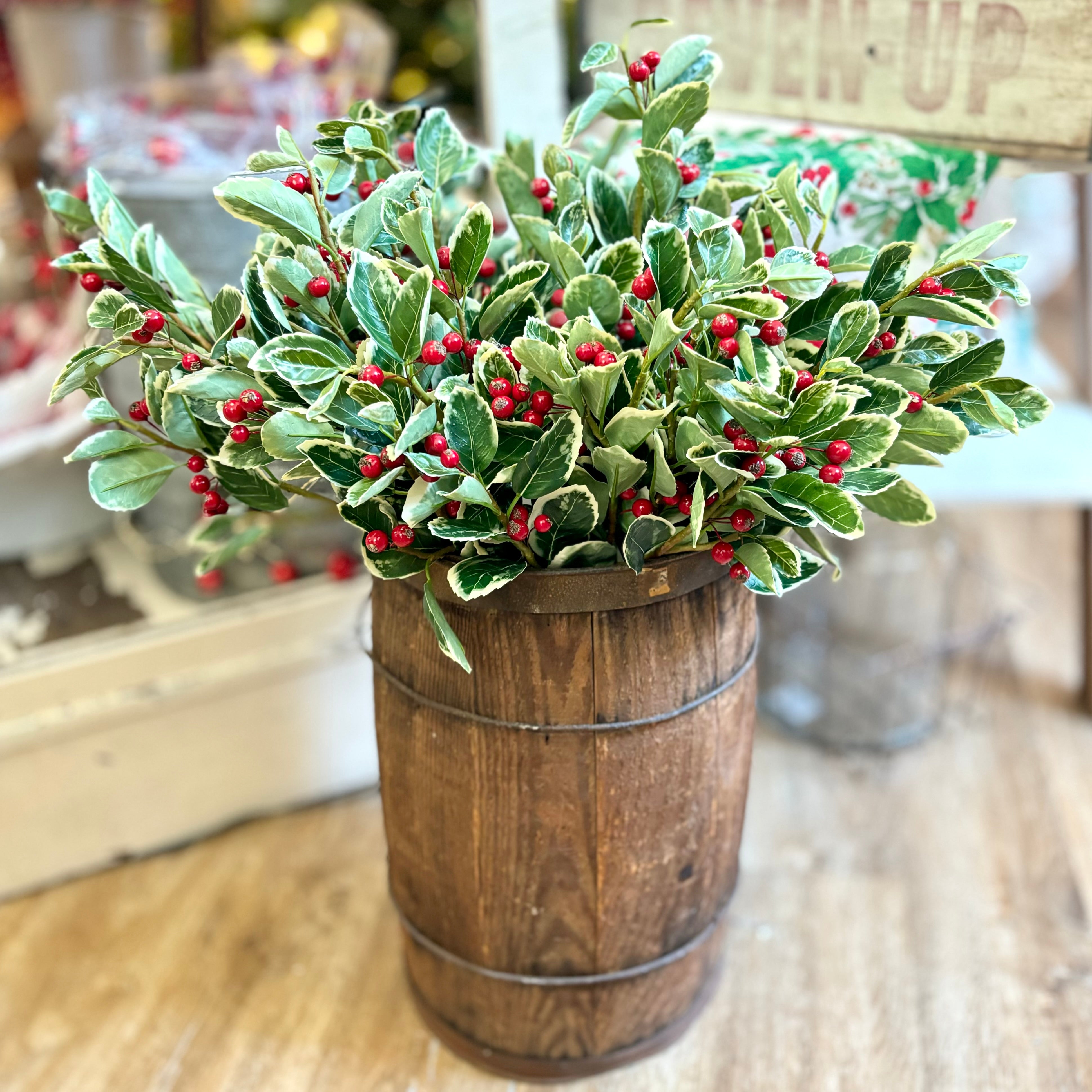 Holly Variegated with Red Berries Spray Stem