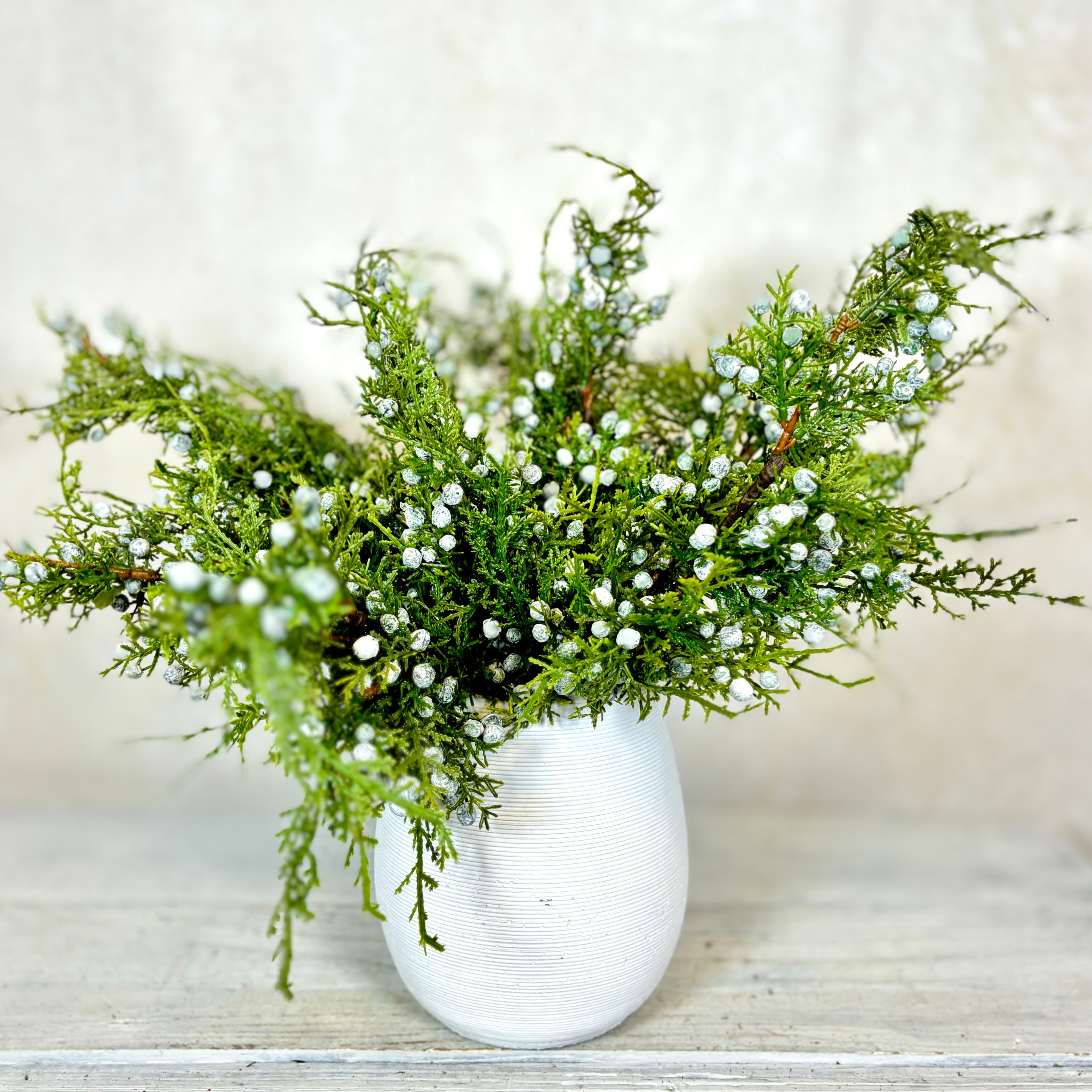 Juniper Spray with Berries Stem