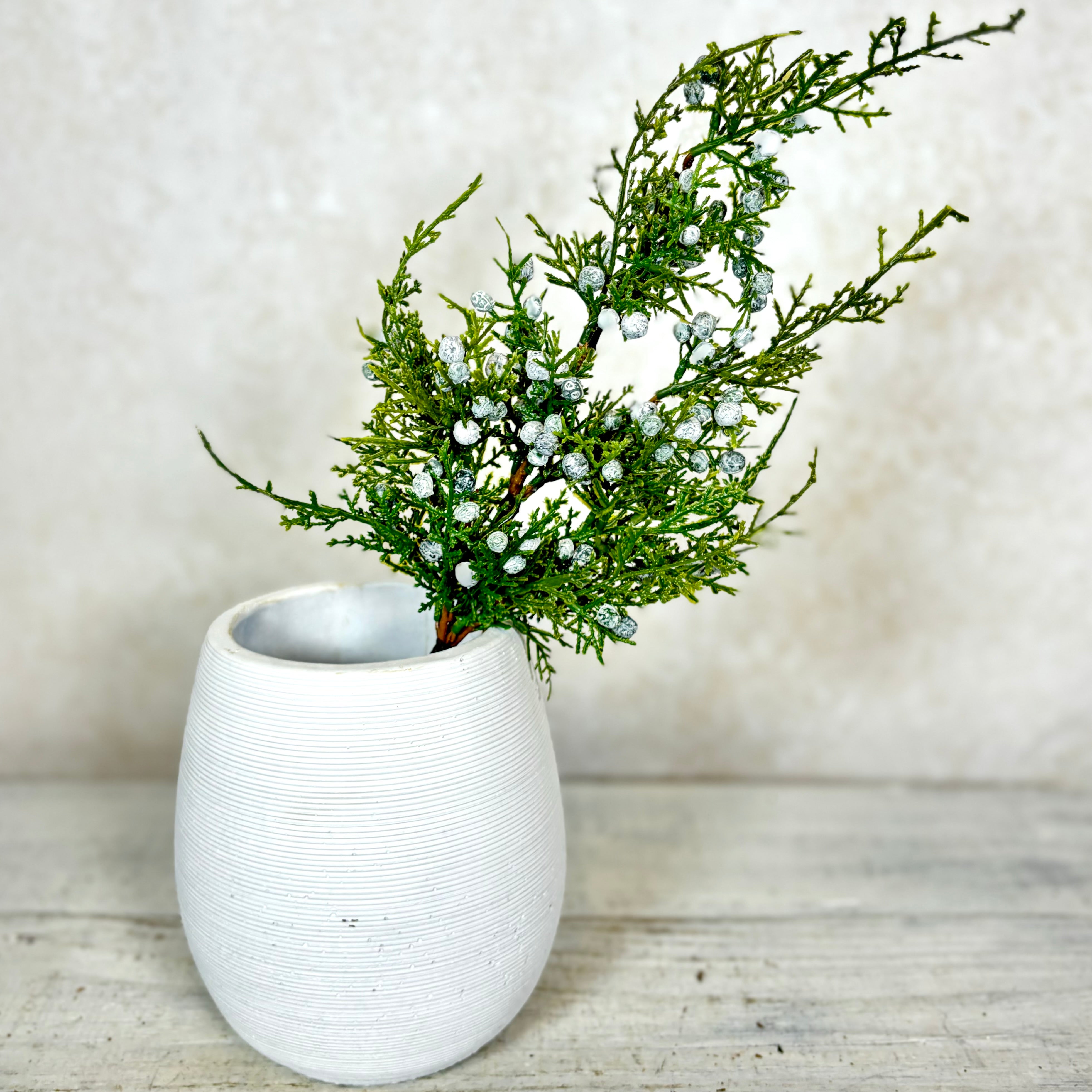 Juniper Spray with Berries Stem