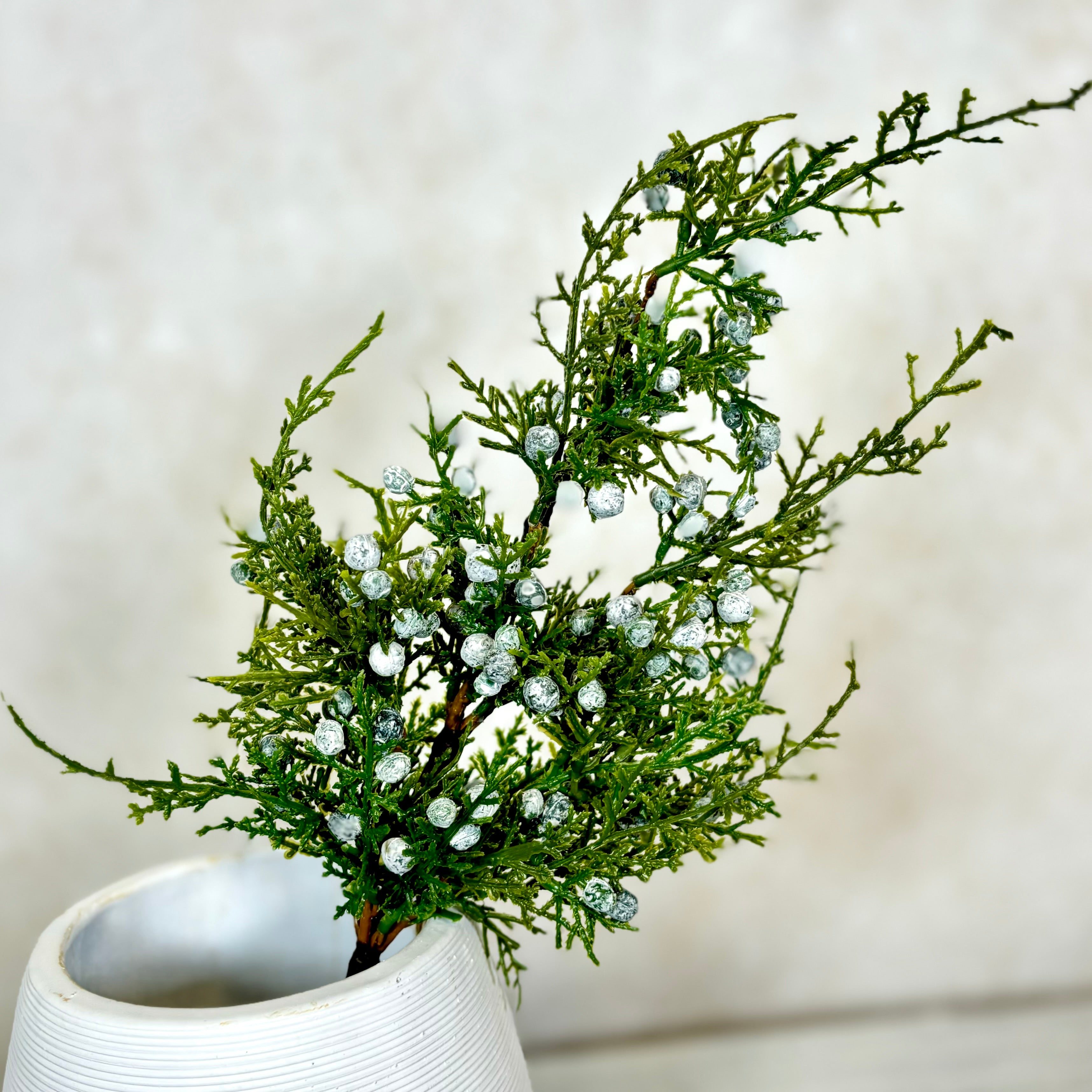 Juniper Spray with Berries Stem