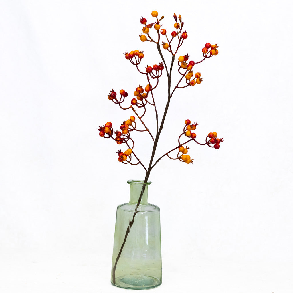 Orange Rosehip Berry Spray