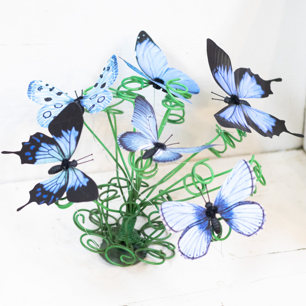 Blue Fabric Butterfly Box of Six