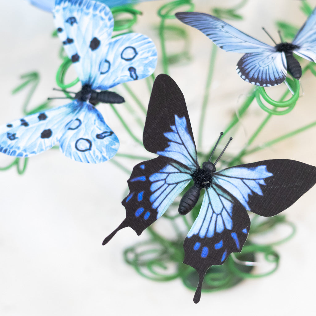 Blue Fabric Butterfly Box of Six