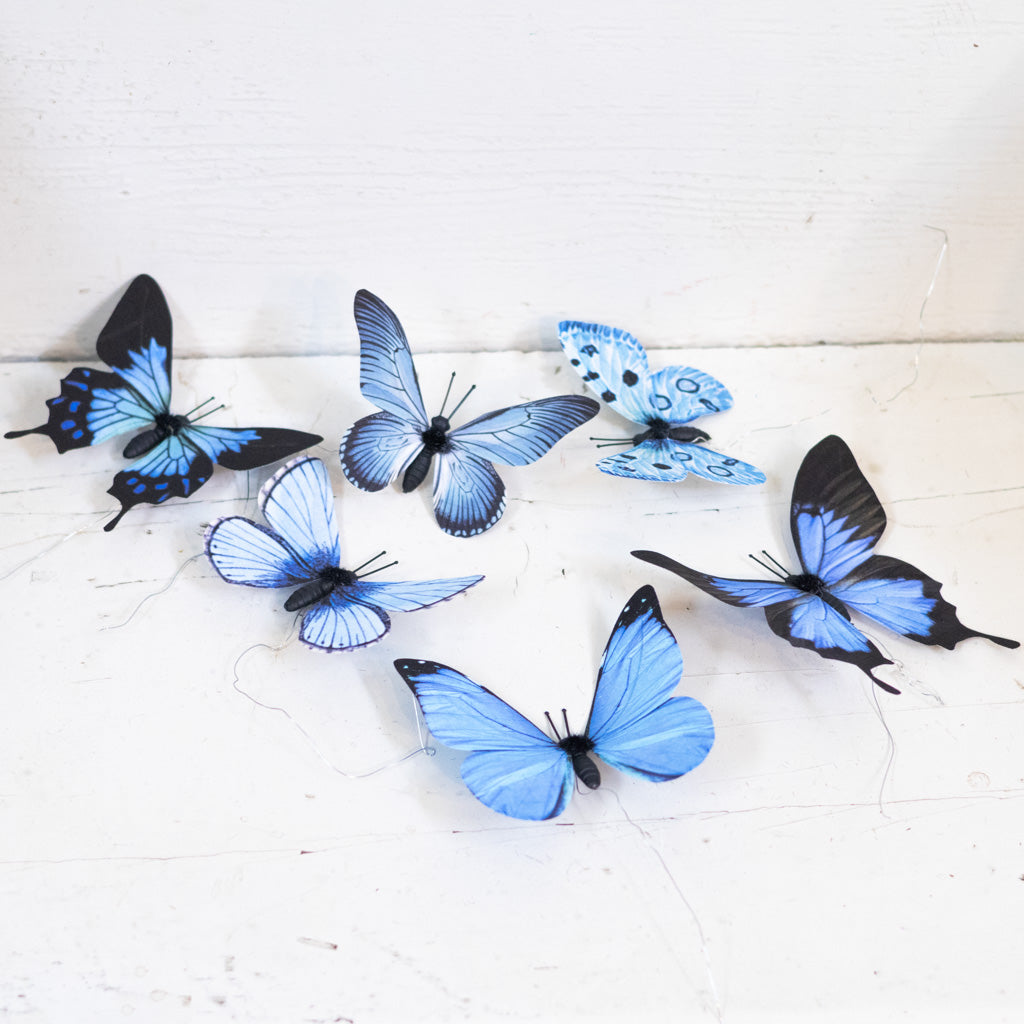 Blue Fabric Butterfly Box of Six