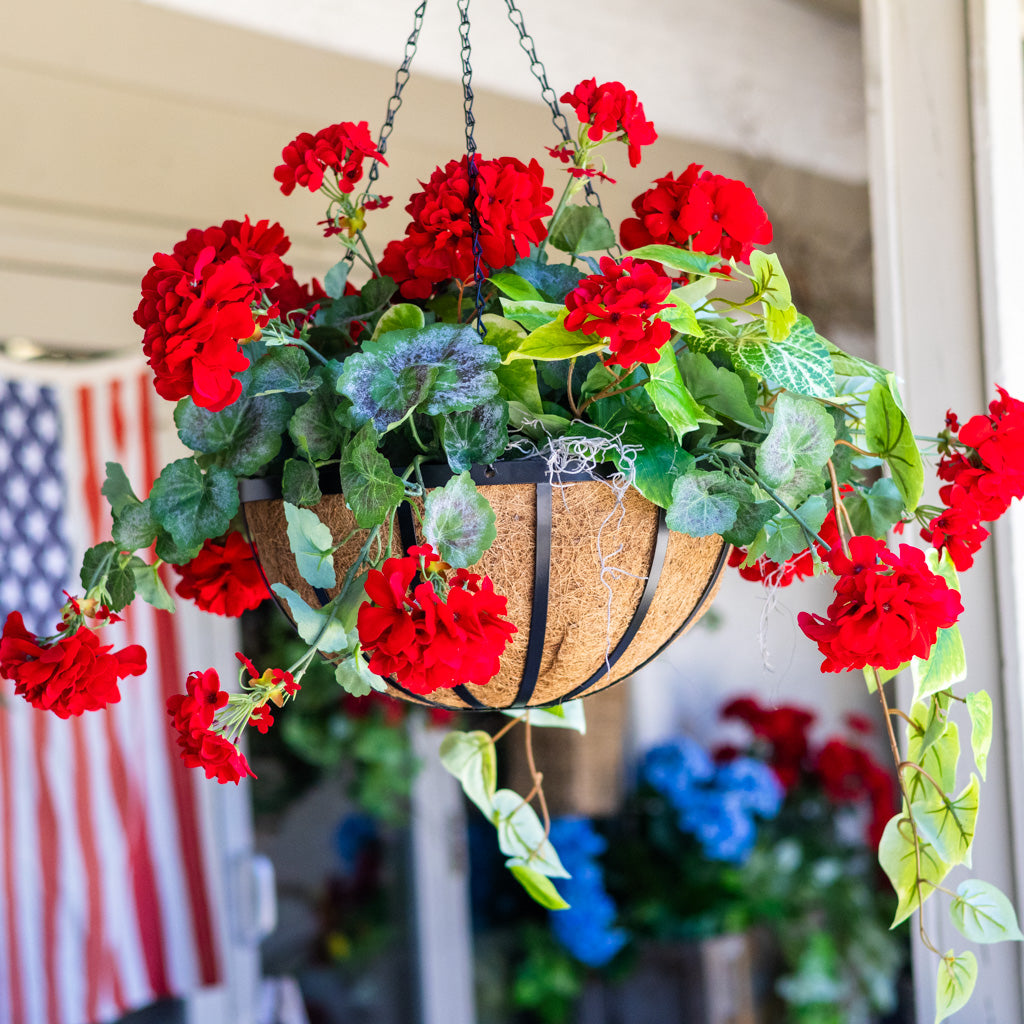 Red Geranium Hanging Basket with Sweet Potato Vine