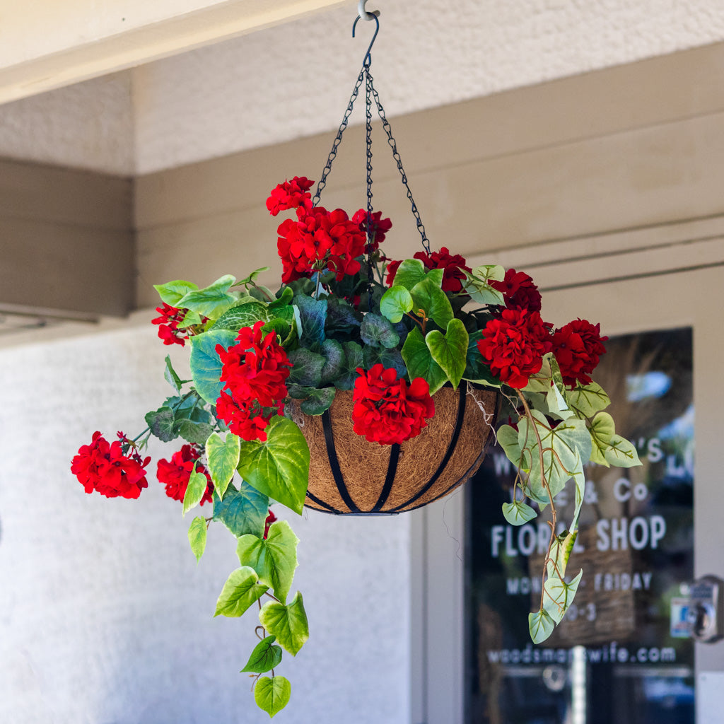 Red Geranium Hanging Basket with Sweet Potato Vine