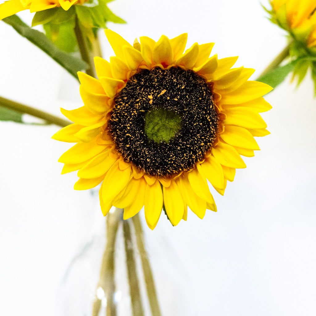 Yellow Sunflower Bundle Natural Touch