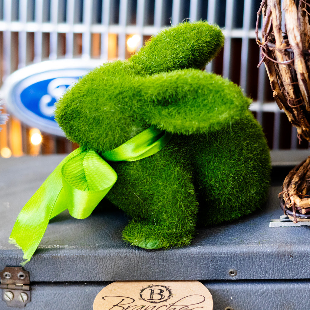 Happy the Moss Rabbit