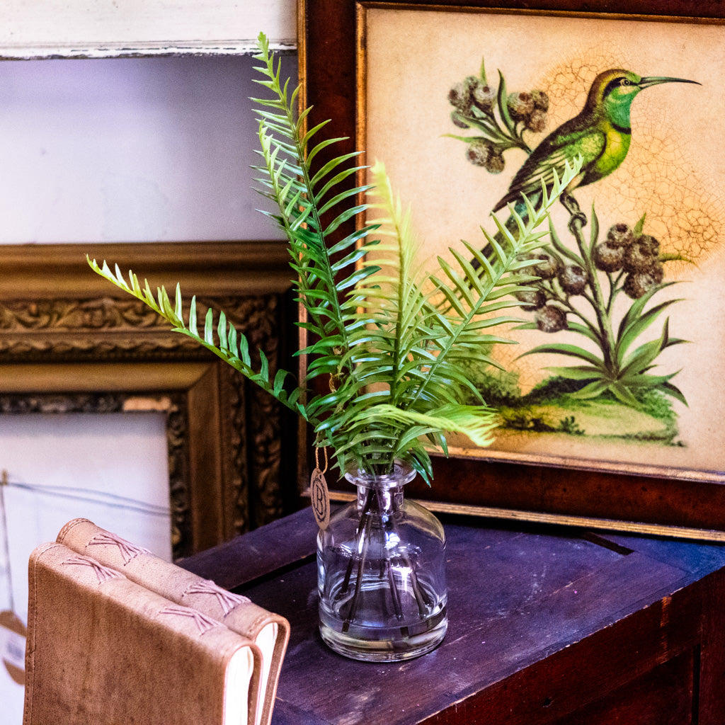 Sword Fern in Glass