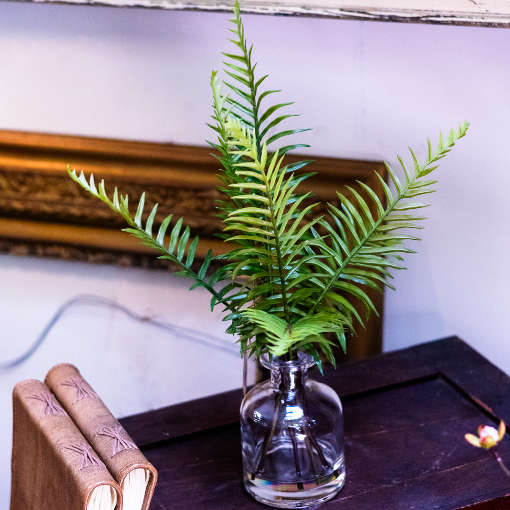 Sword Fern in Glass