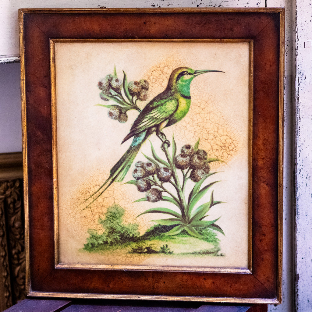 Hummingbird Framed Art